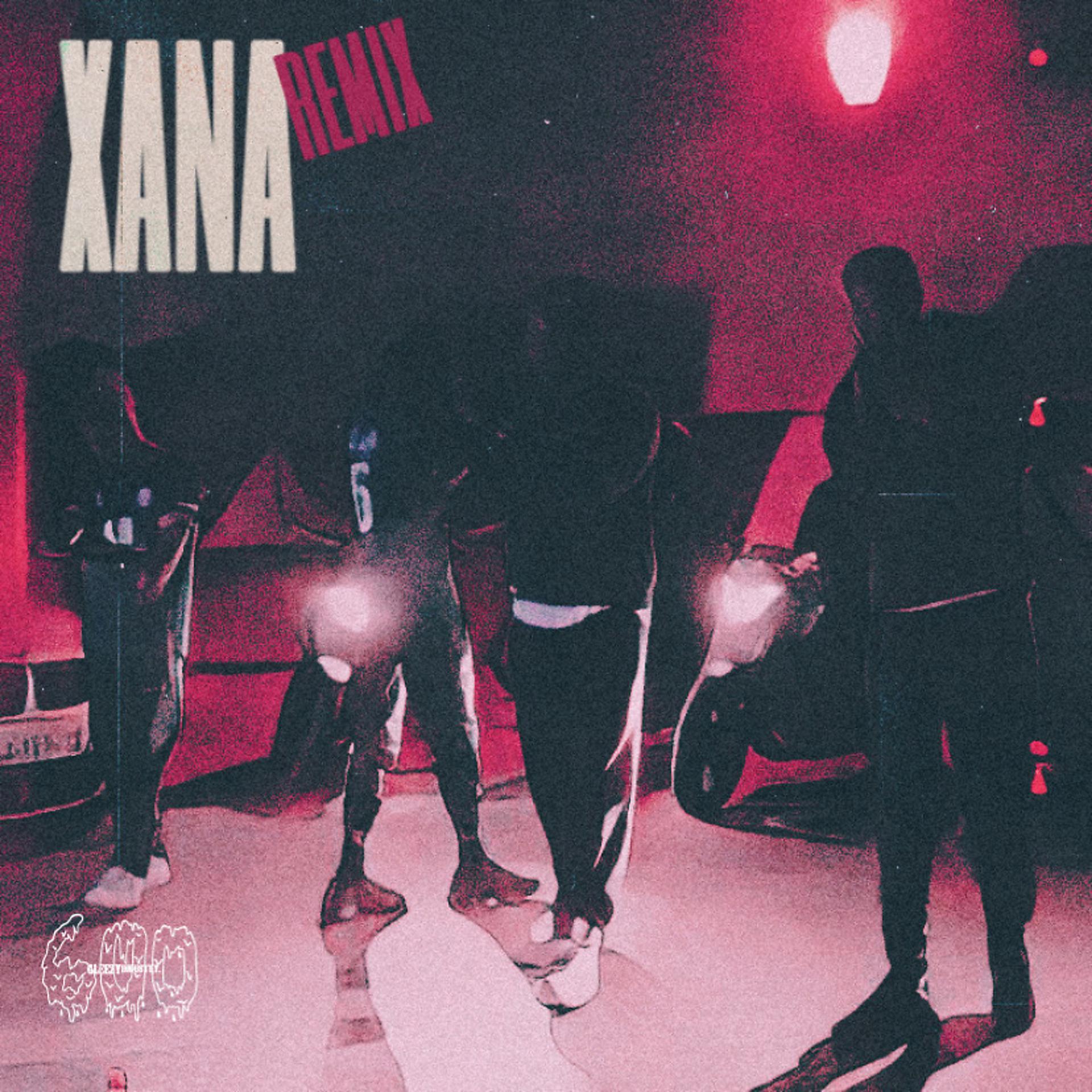 Постер альбома Xana (Remix)