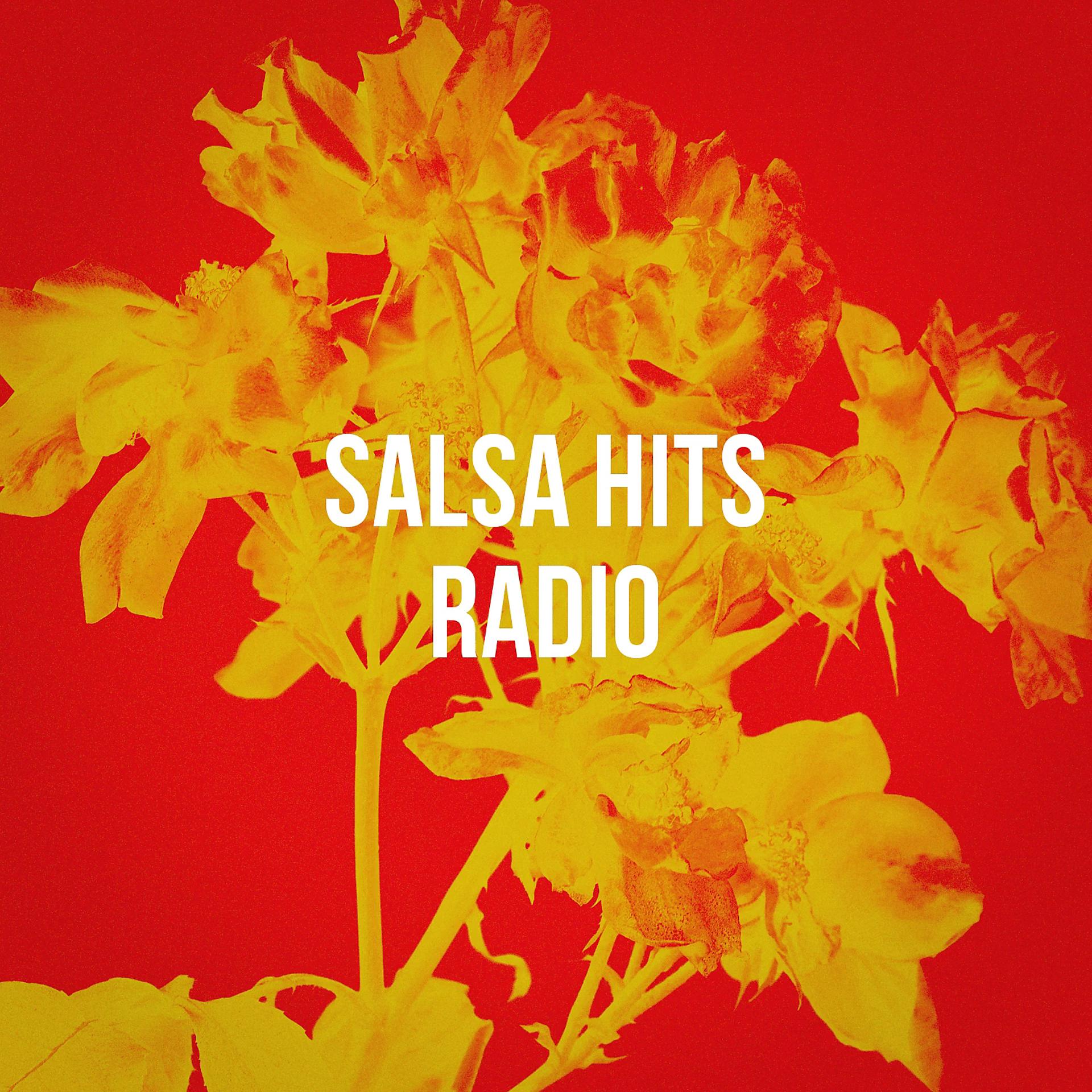 Постер альбома Salsa Hits Radio