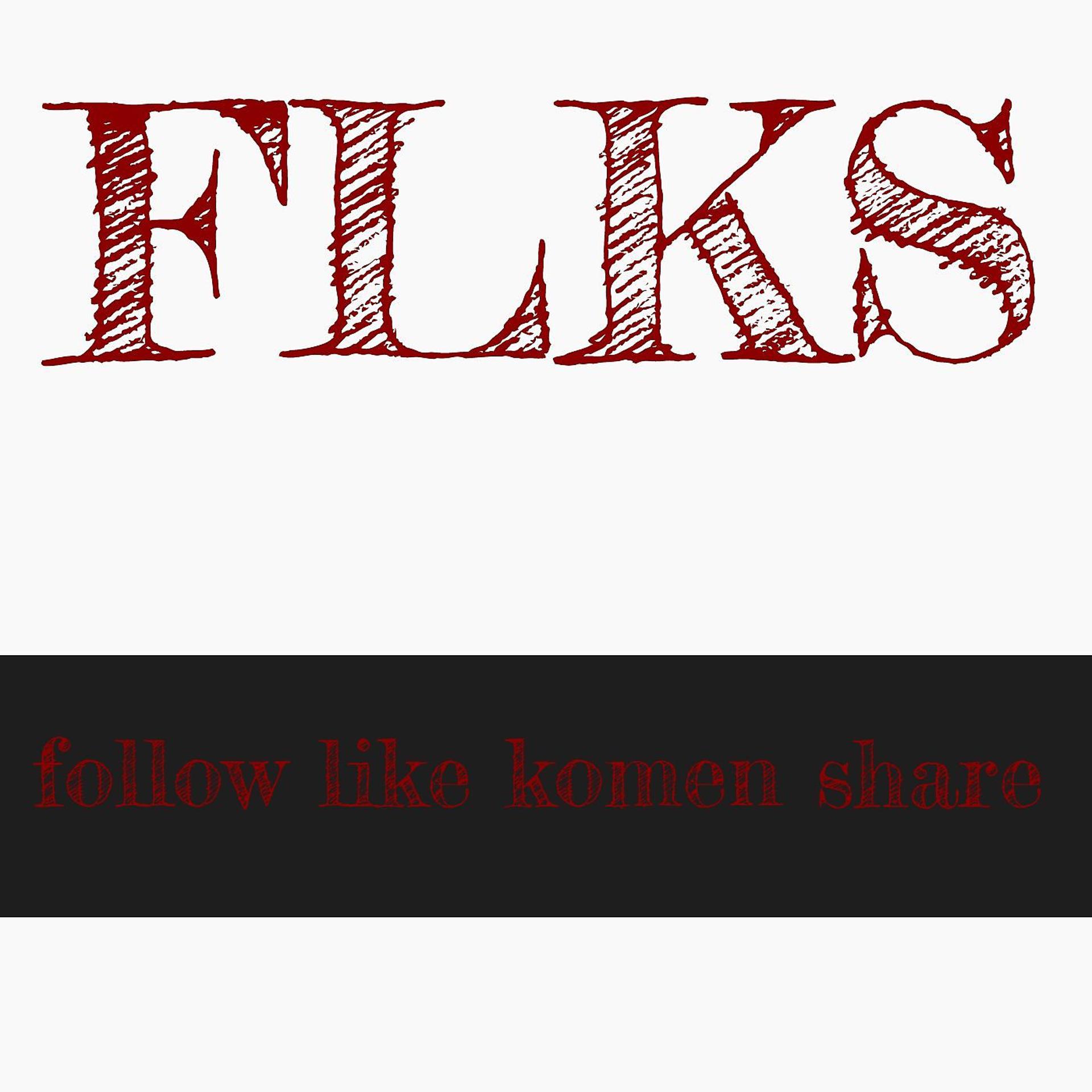 Постер альбома FLKS Follow Like Komen Share