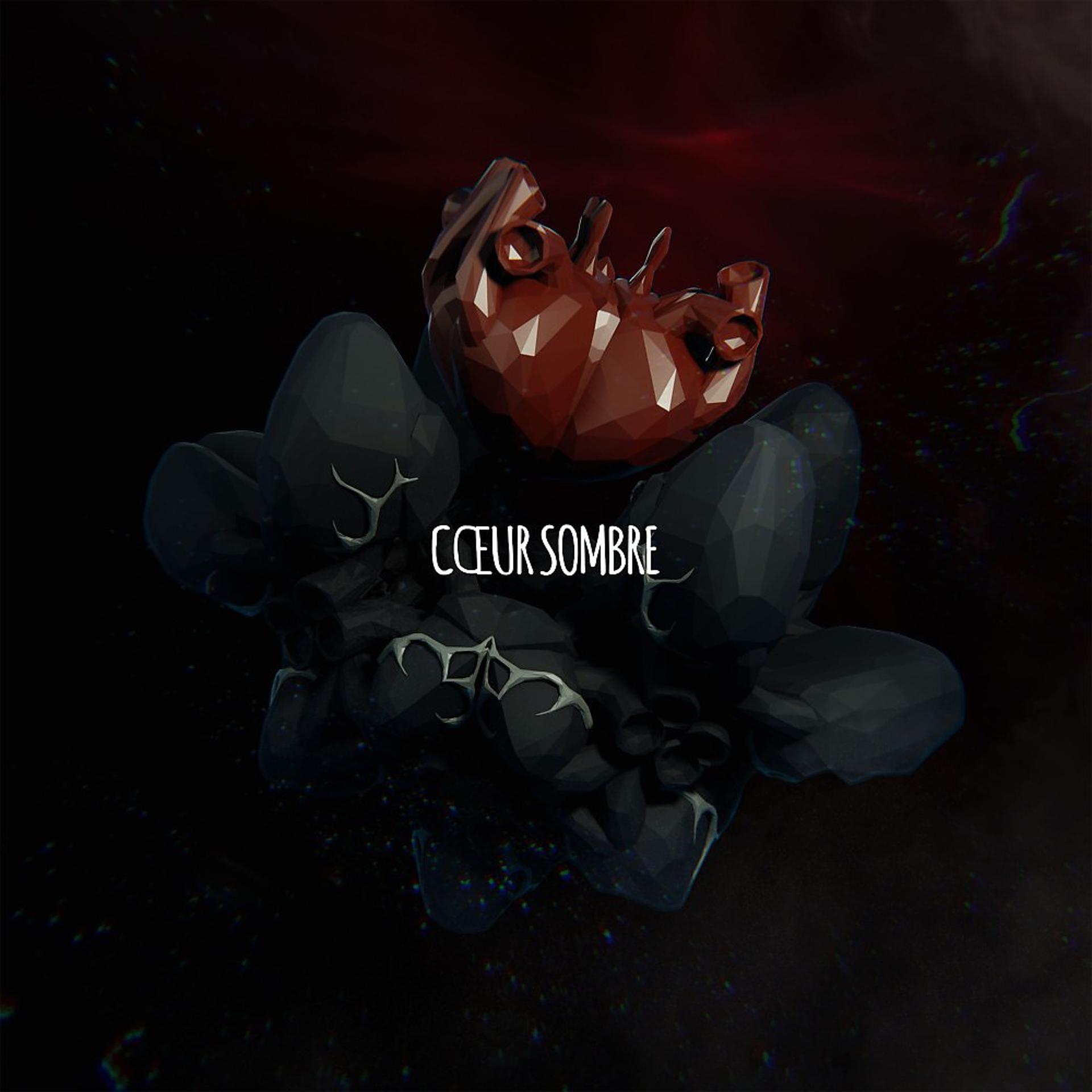 Постер альбома Coeur sombre
