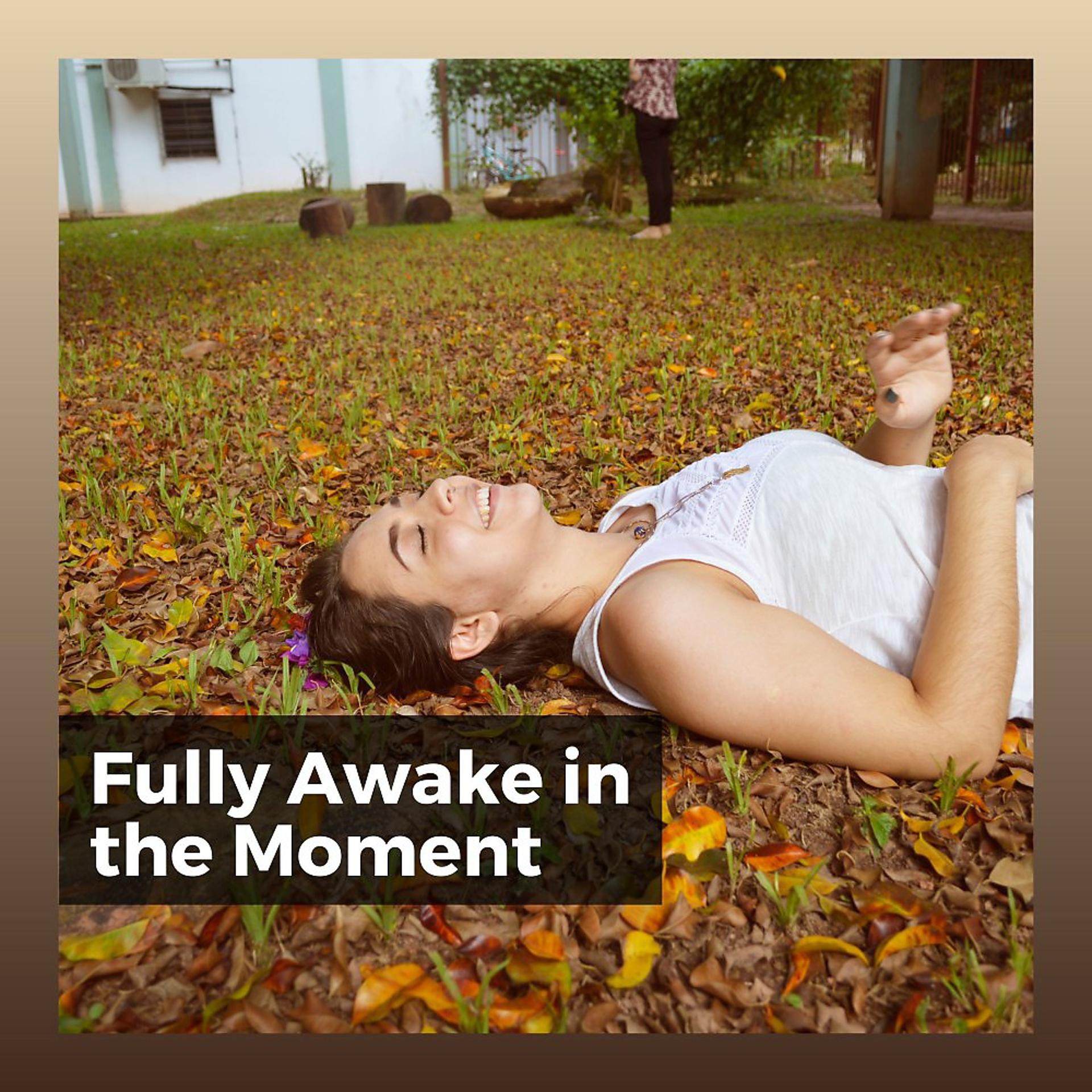Постер альбома Fully Awake in the Moment
