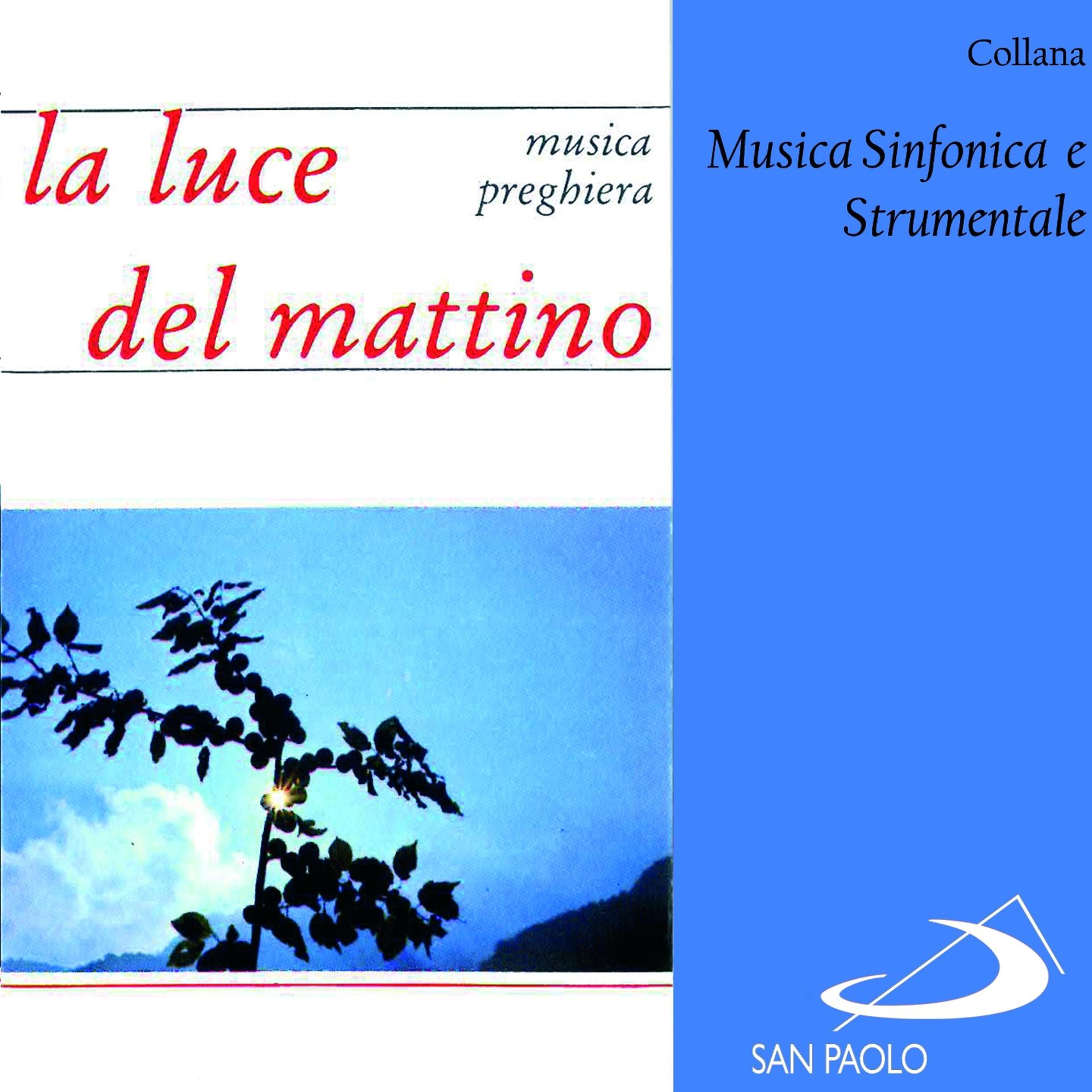 Постер альбома Collana musica sinfonica e strumentale: La luce del mattino