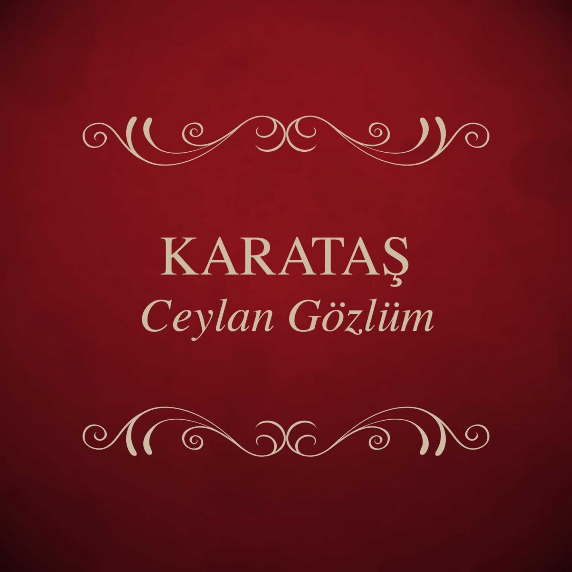 Постер альбома Ceylan Gözlüm