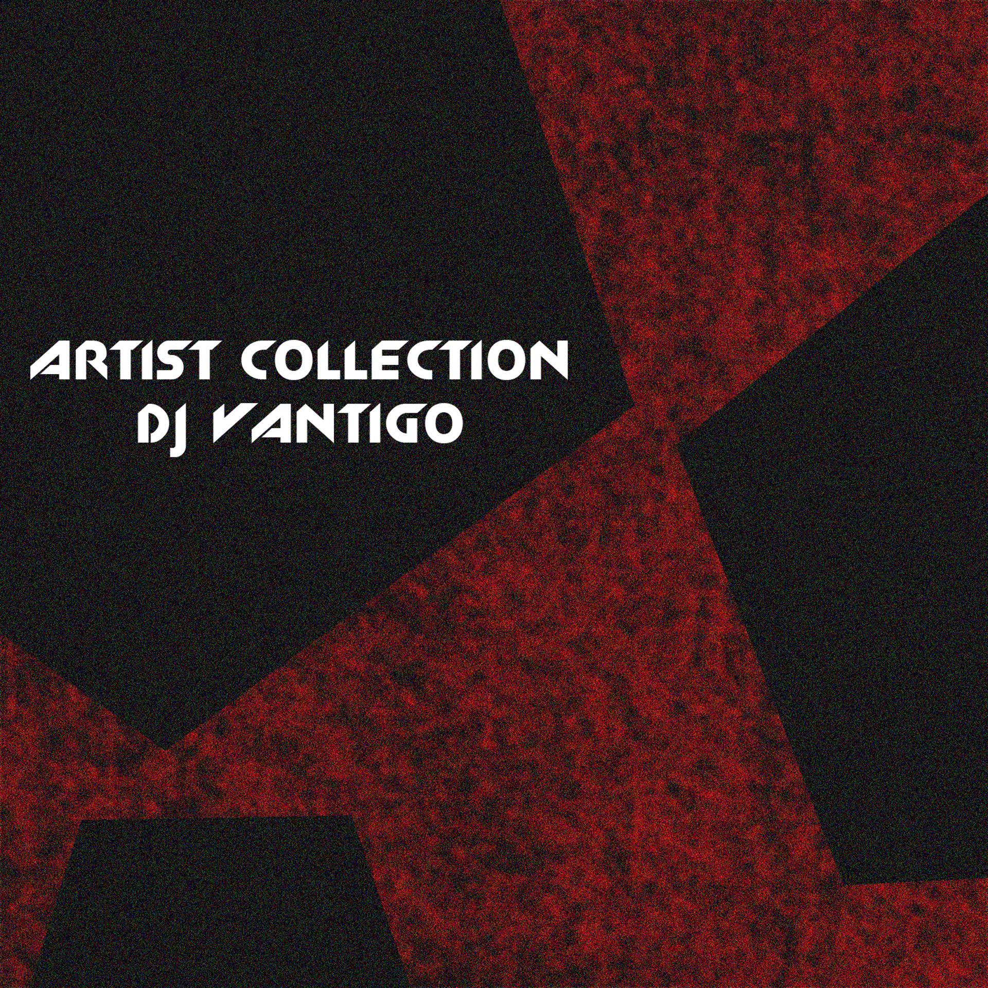Постер альбома Artist Collection: Dj Vantigo