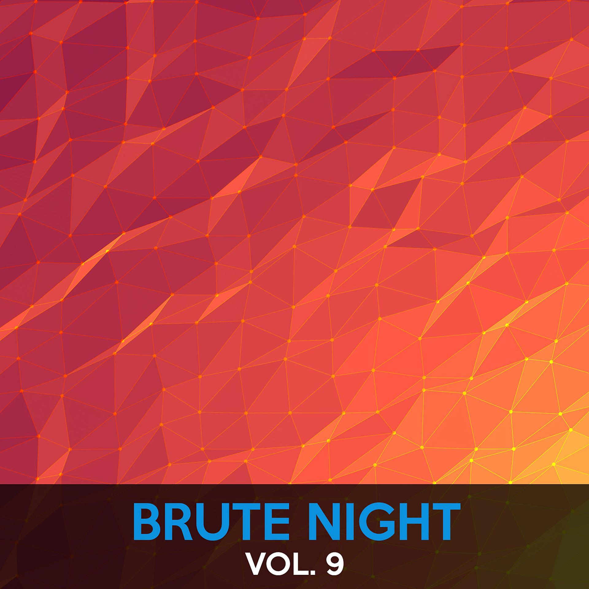 Постер альбома Brute Night, Vol. 9