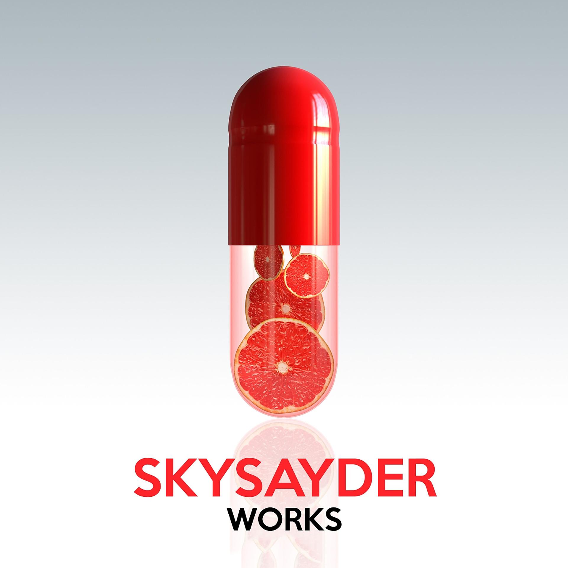 Постер альбома Skysayder Works
