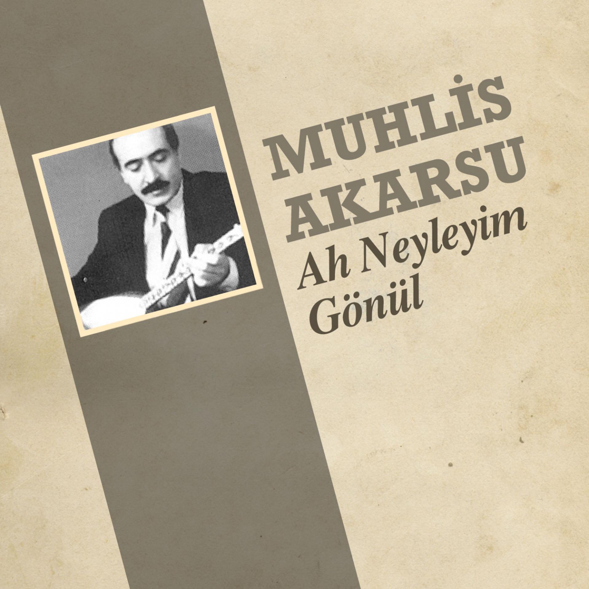 Постер альбома Ah Neyleyim Gönül