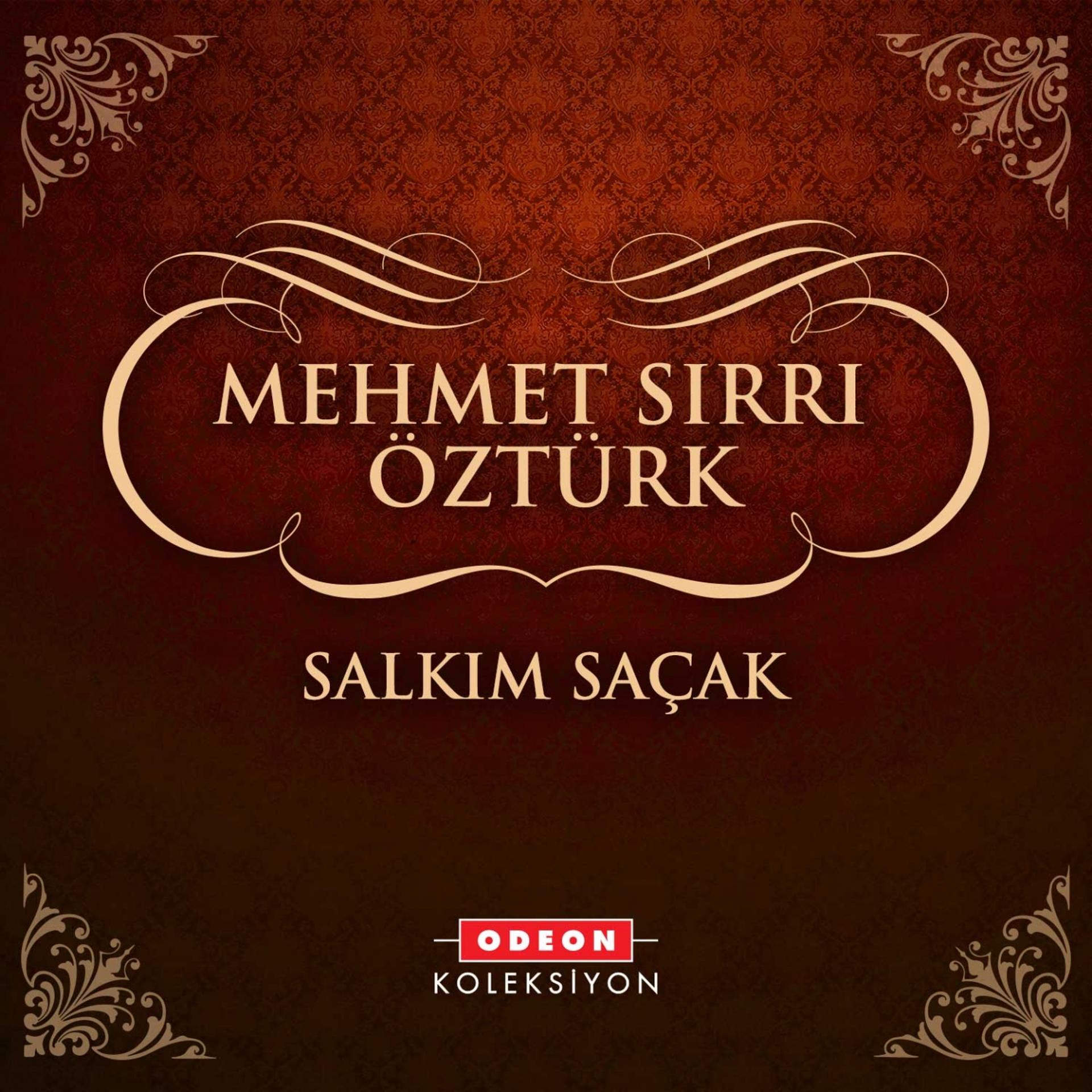 Постер альбома Salkım Saçak