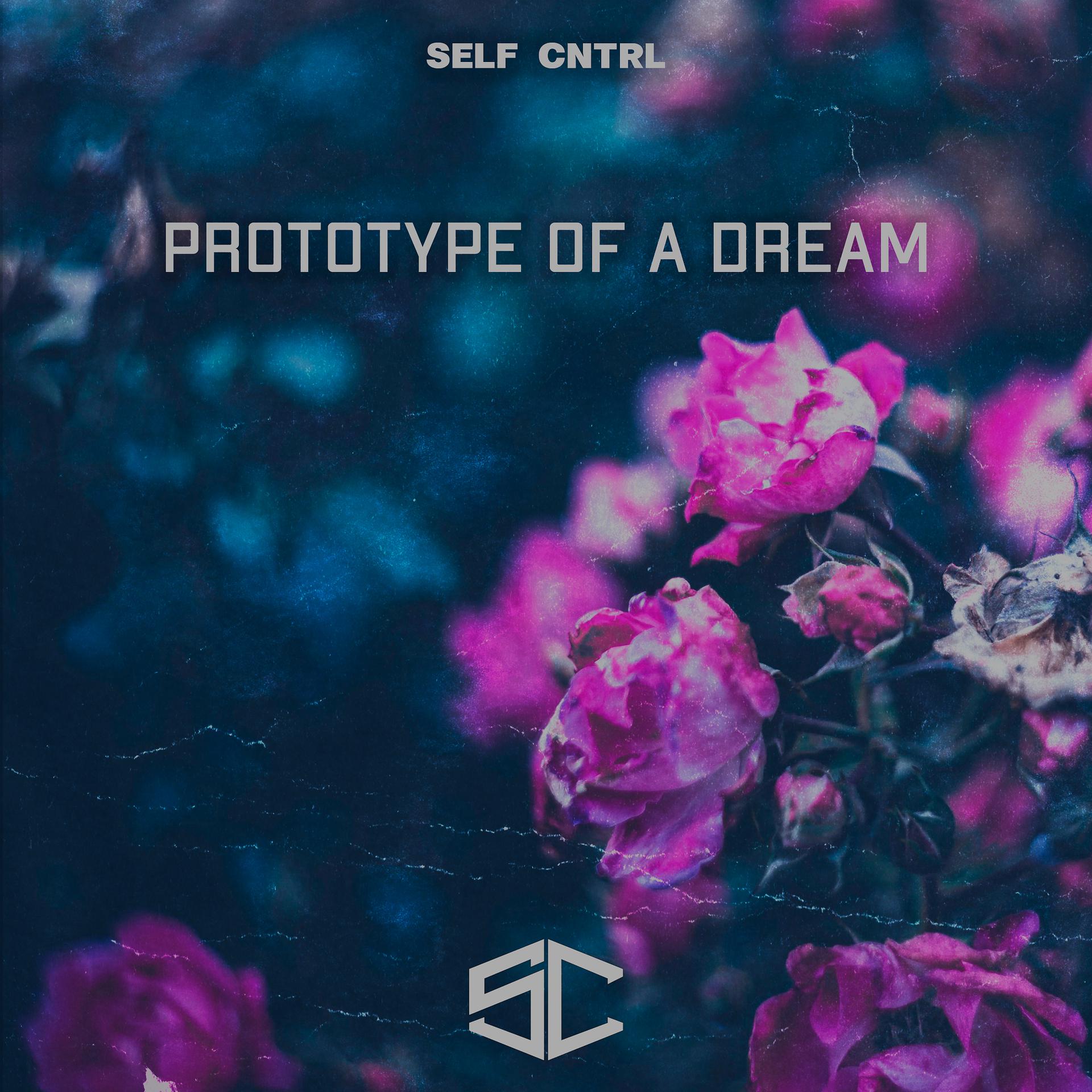 Постер альбома Prototype of a Dream