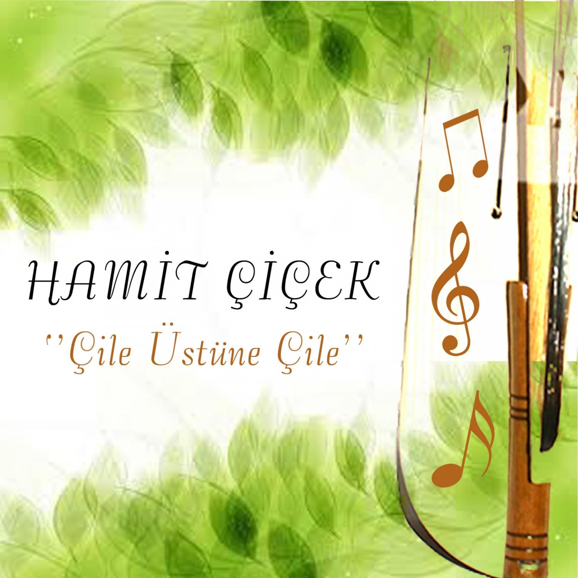 Постер альбома Çile Üstüne Çile