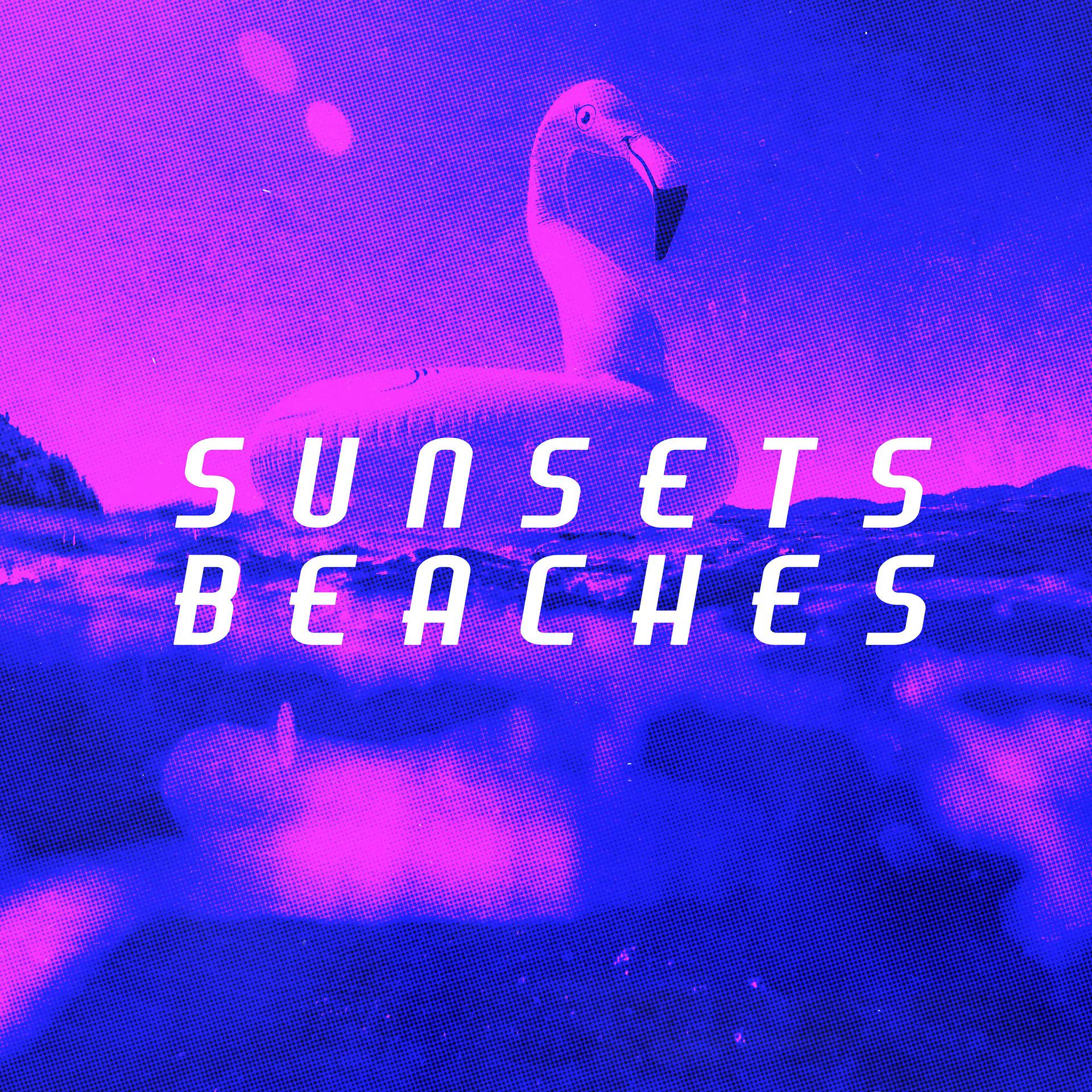 Постер альбома Sunsets Beaches
