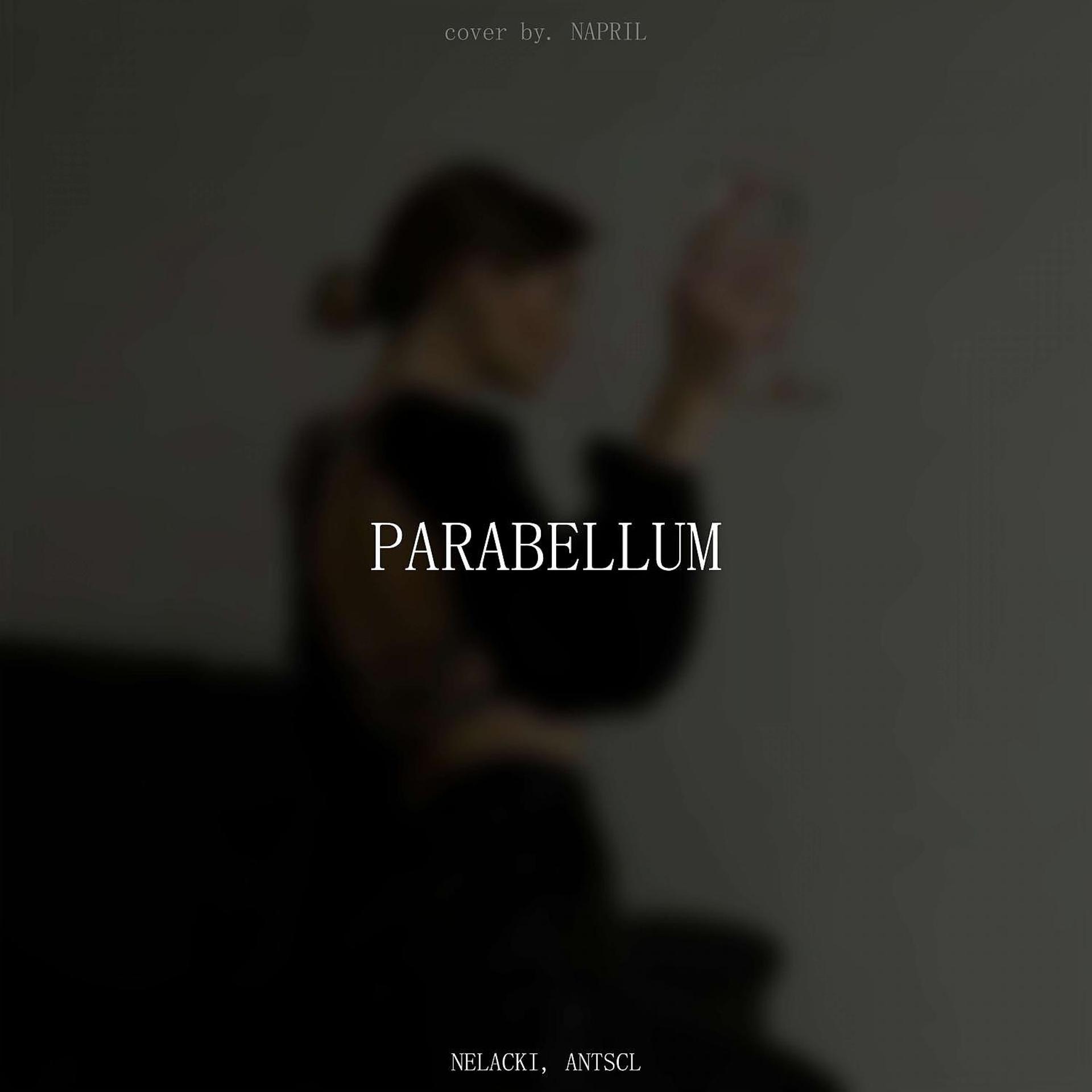 Постер альбома PARABELLUM