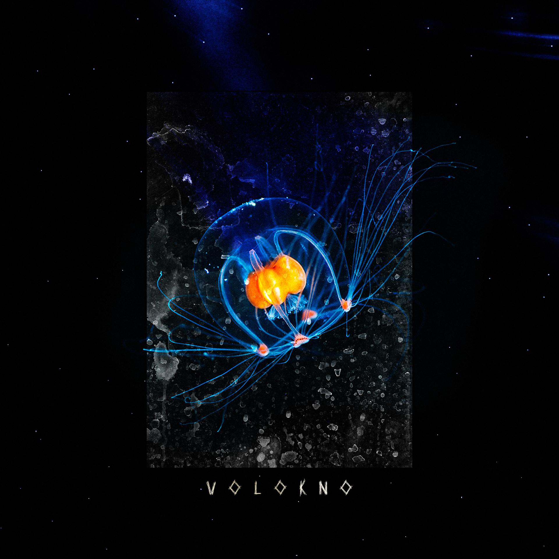 Постер альбома Volokno