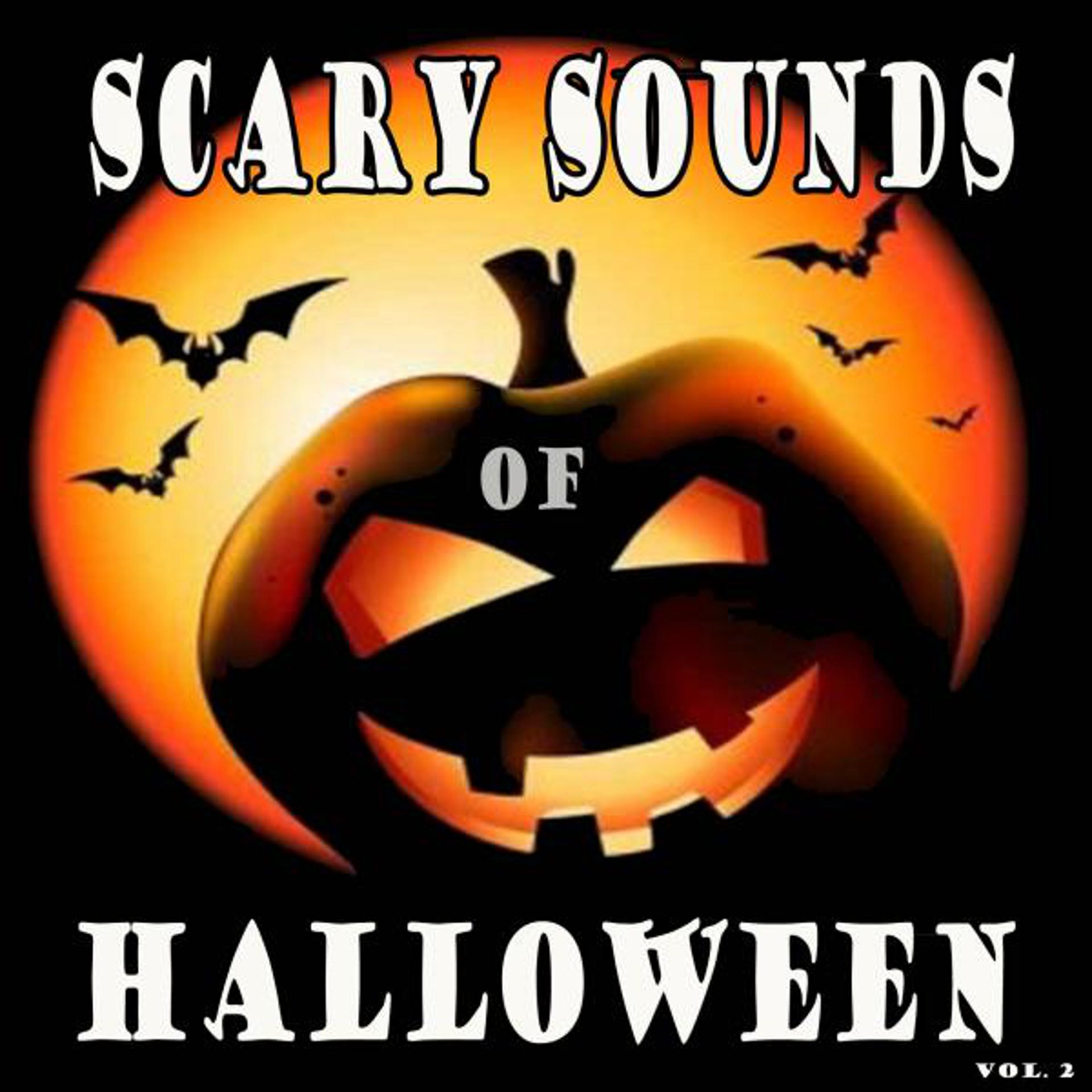 Постер альбома Scary Sounds of Halloween, Scary Halloween Sounds, Vol. 2