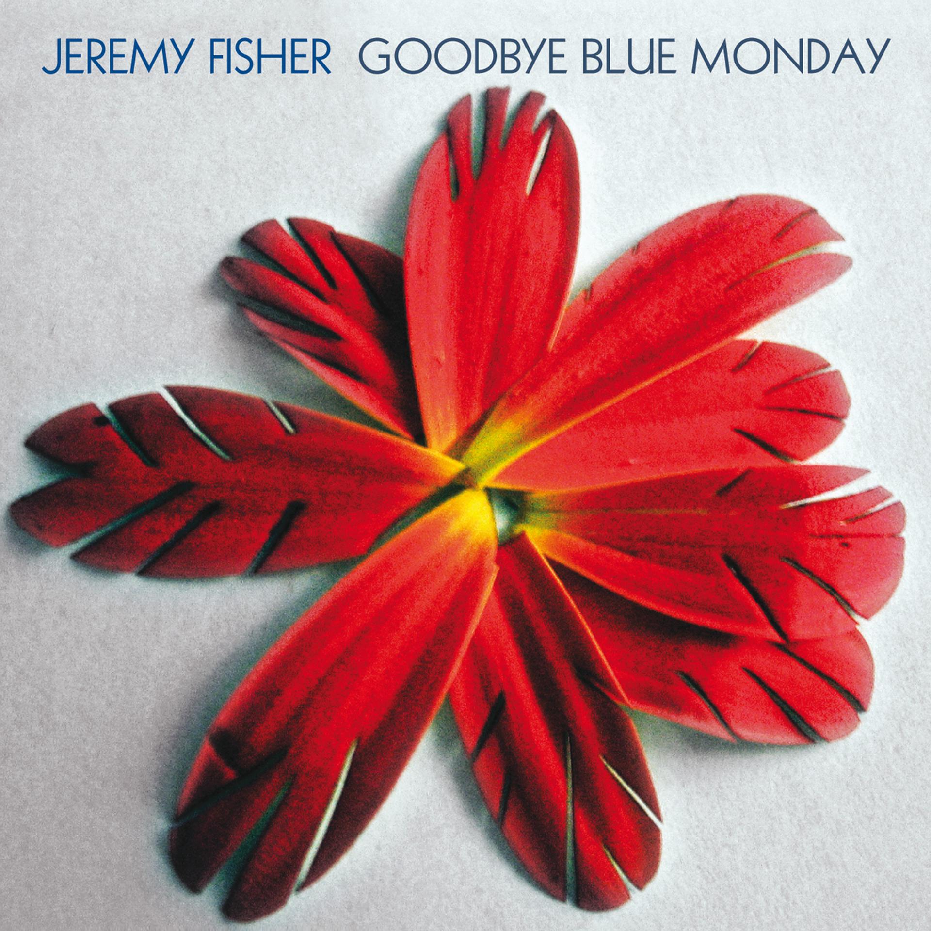 Постер альбома Goodbye Blue Monday