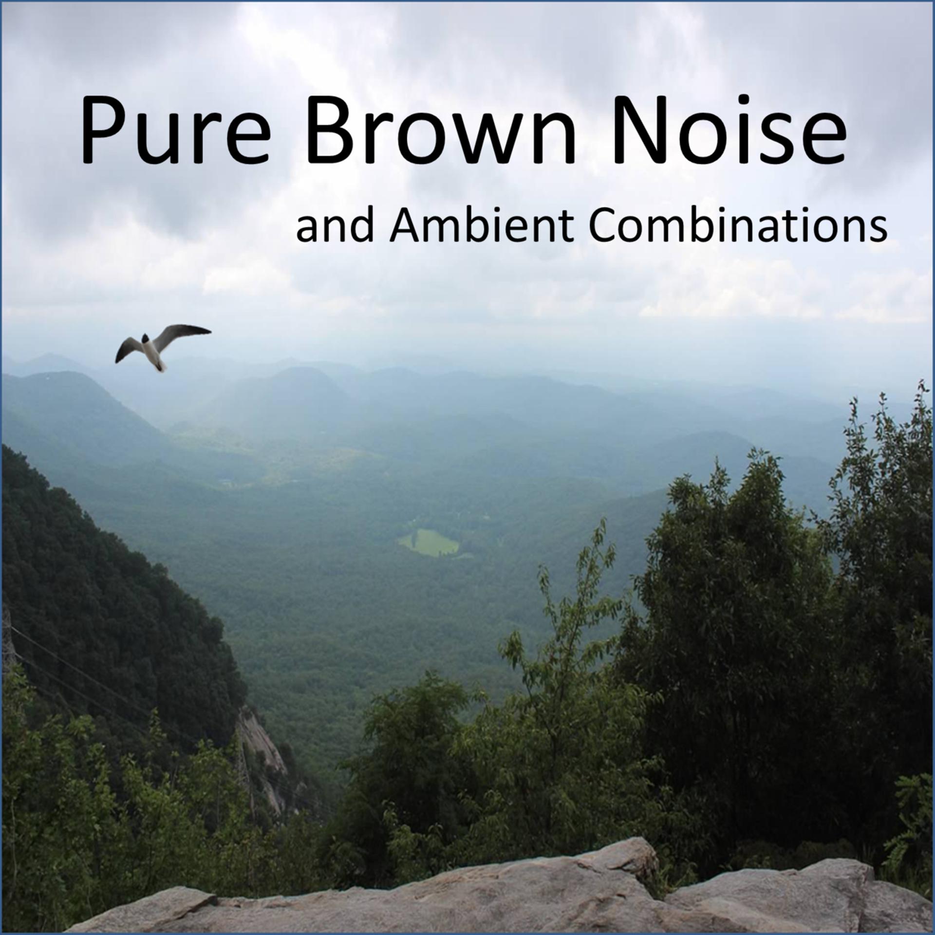 Постер альбома Pure Brown Noise and Ambient Combinations