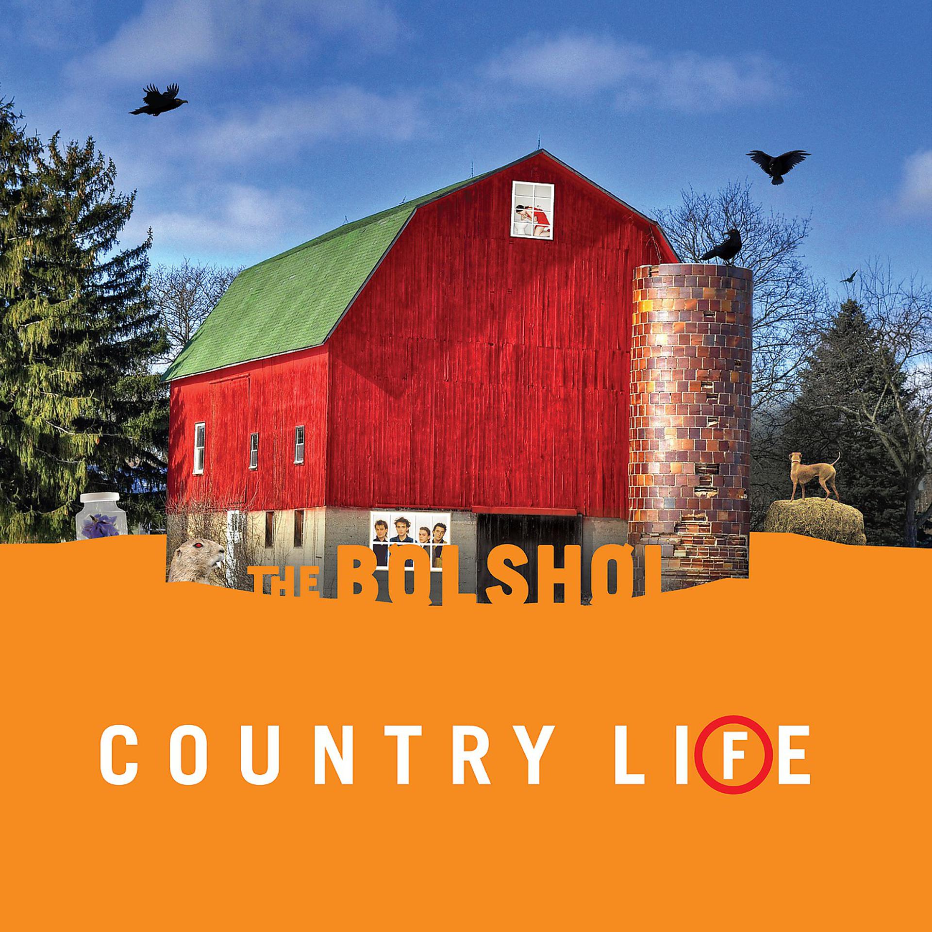 Постер альбома Country Life