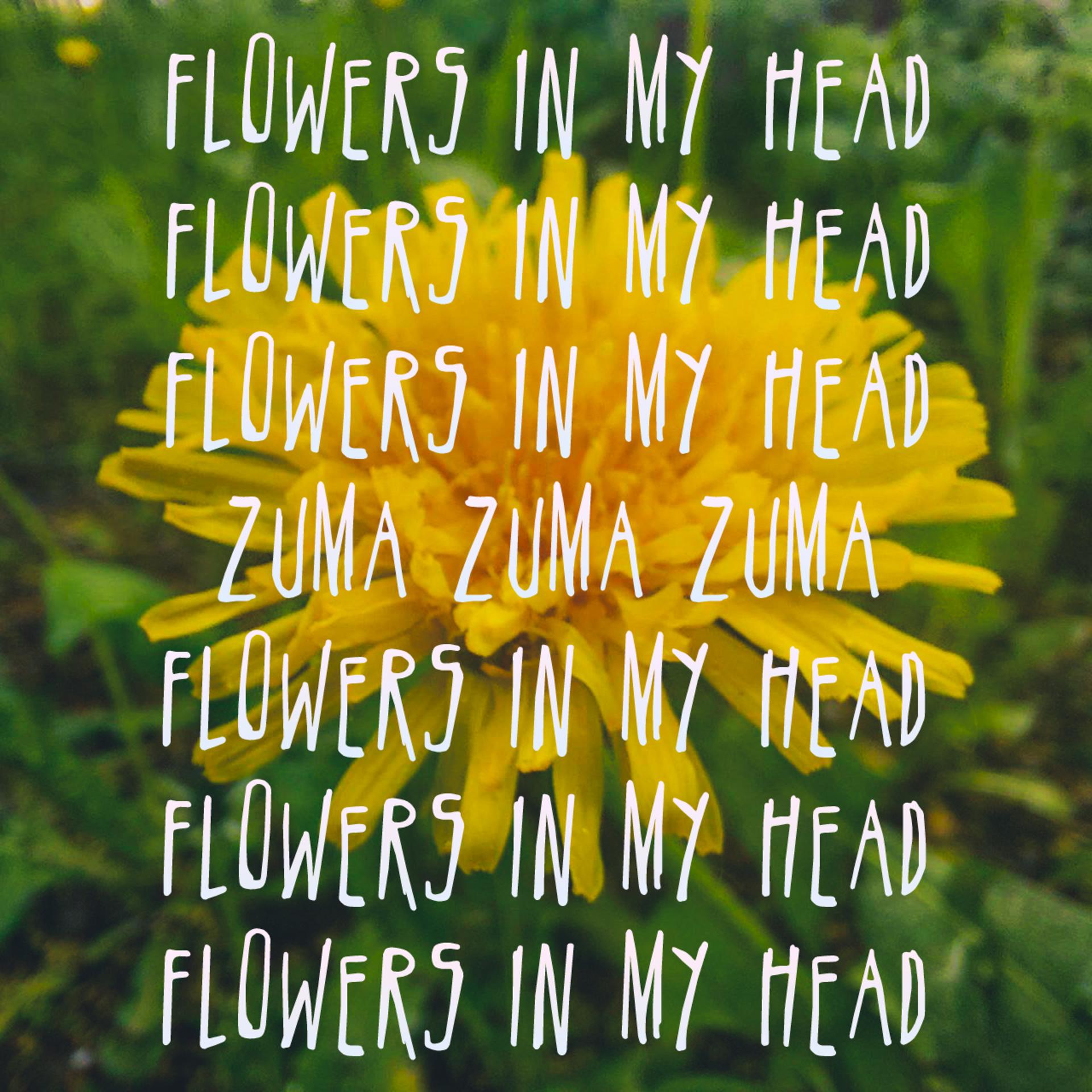 Постер альбома Flowers in My Head