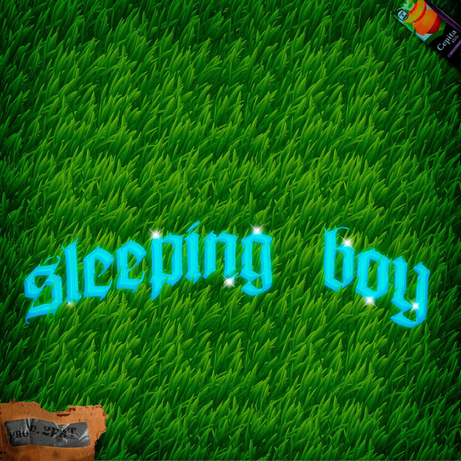 Постер альбома Sleeping Boy