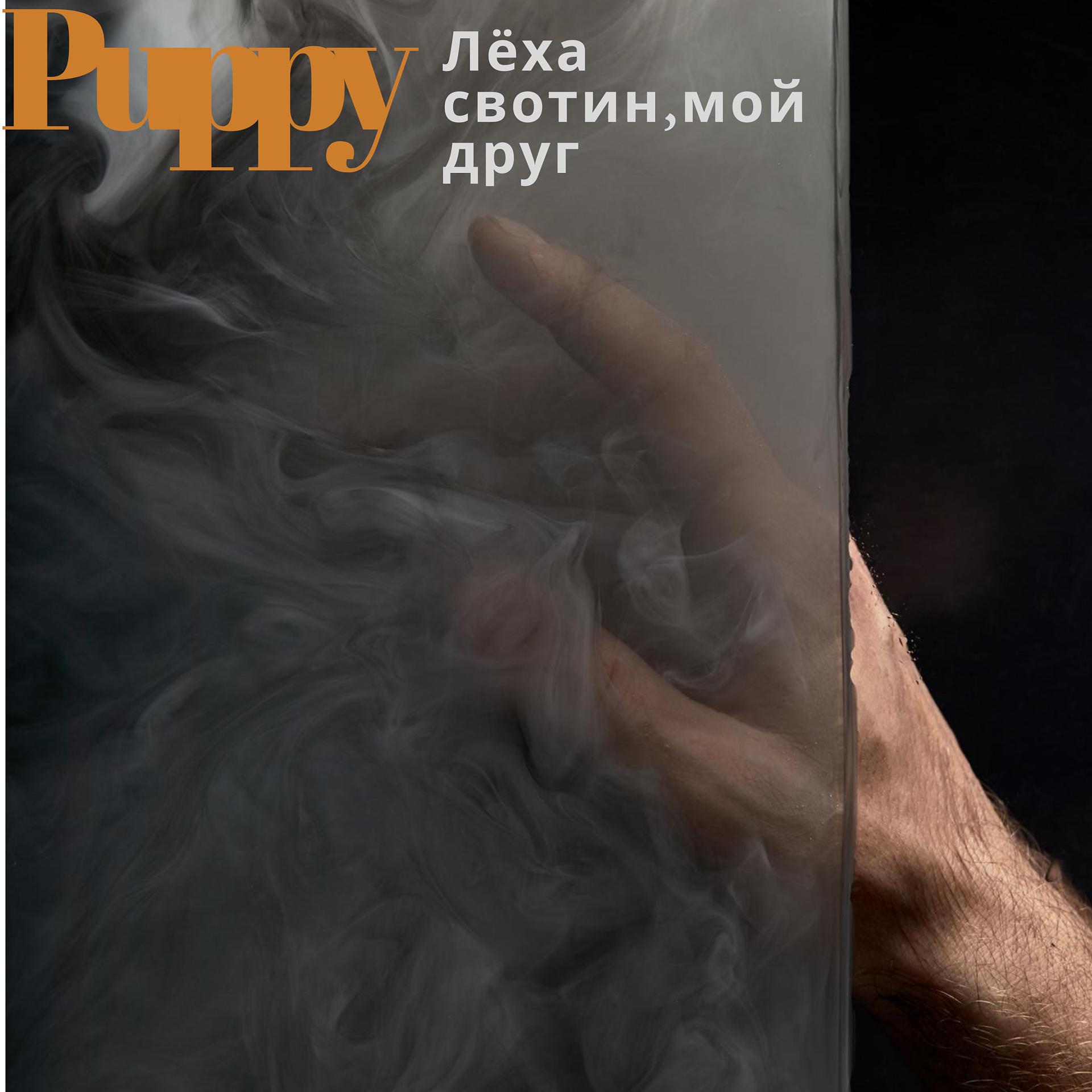 Постер альбома Лёха Свотин, мой друг