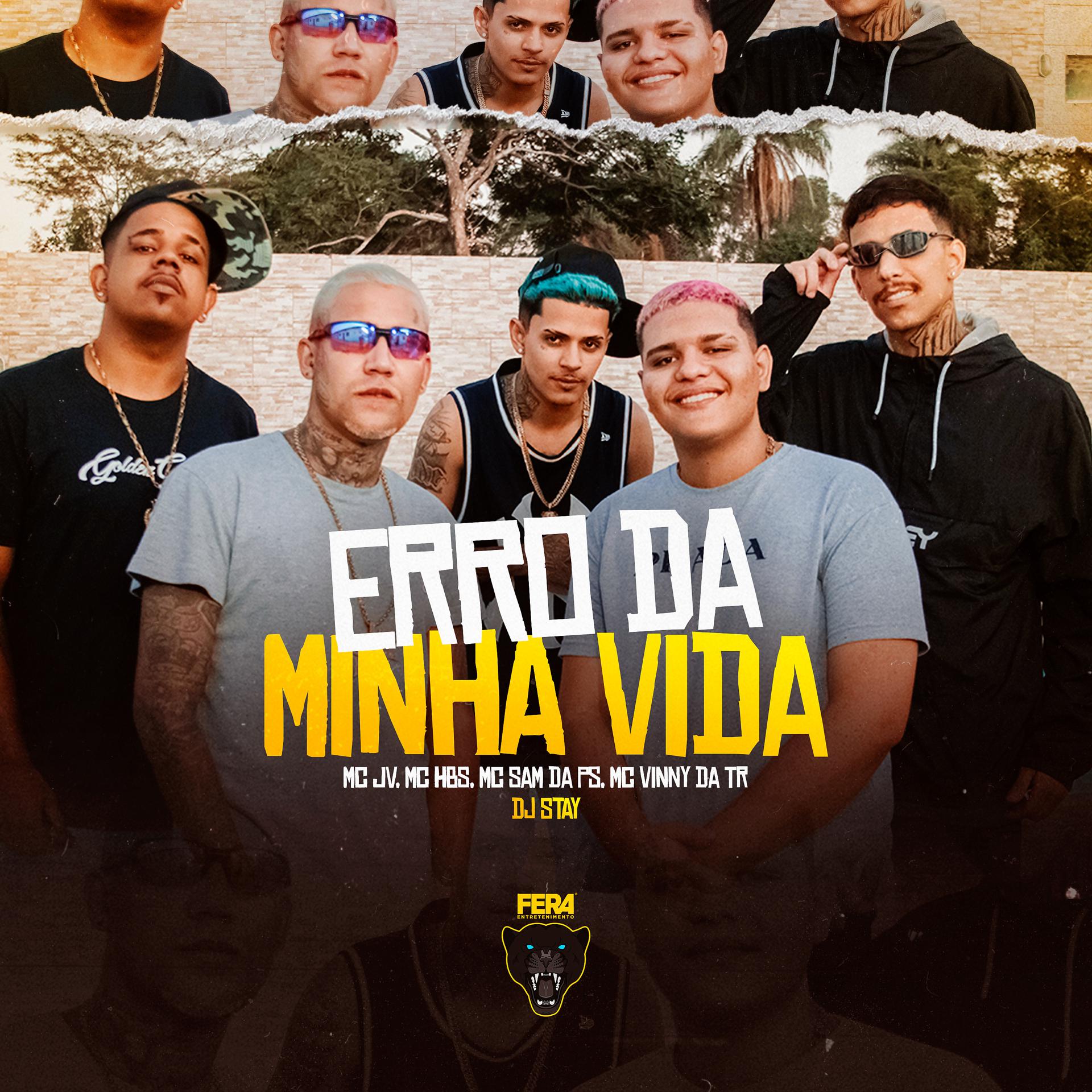 Постер альбома Erro da Minha Vida