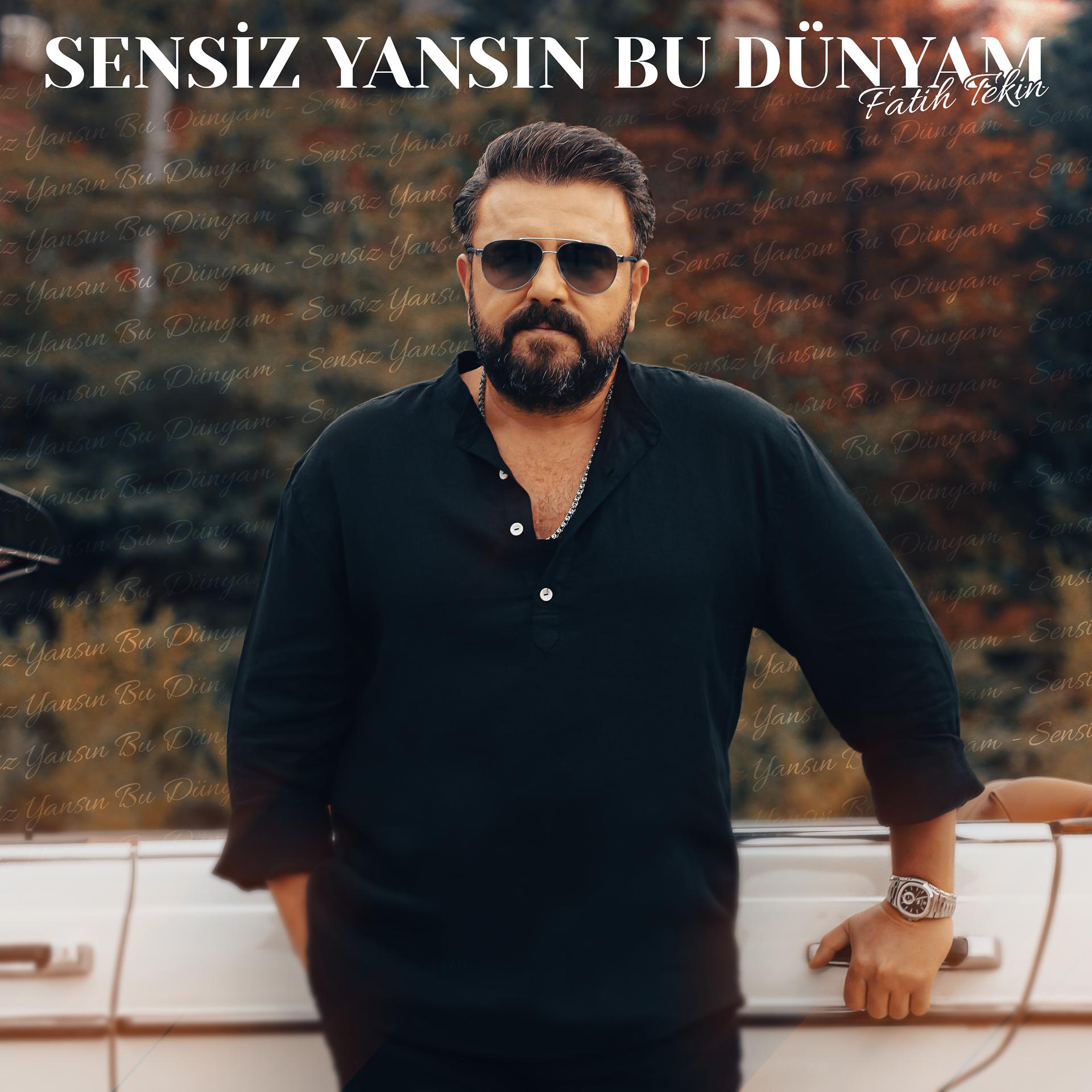 Постер альбома Sensiz Yansın Bu Dünyam