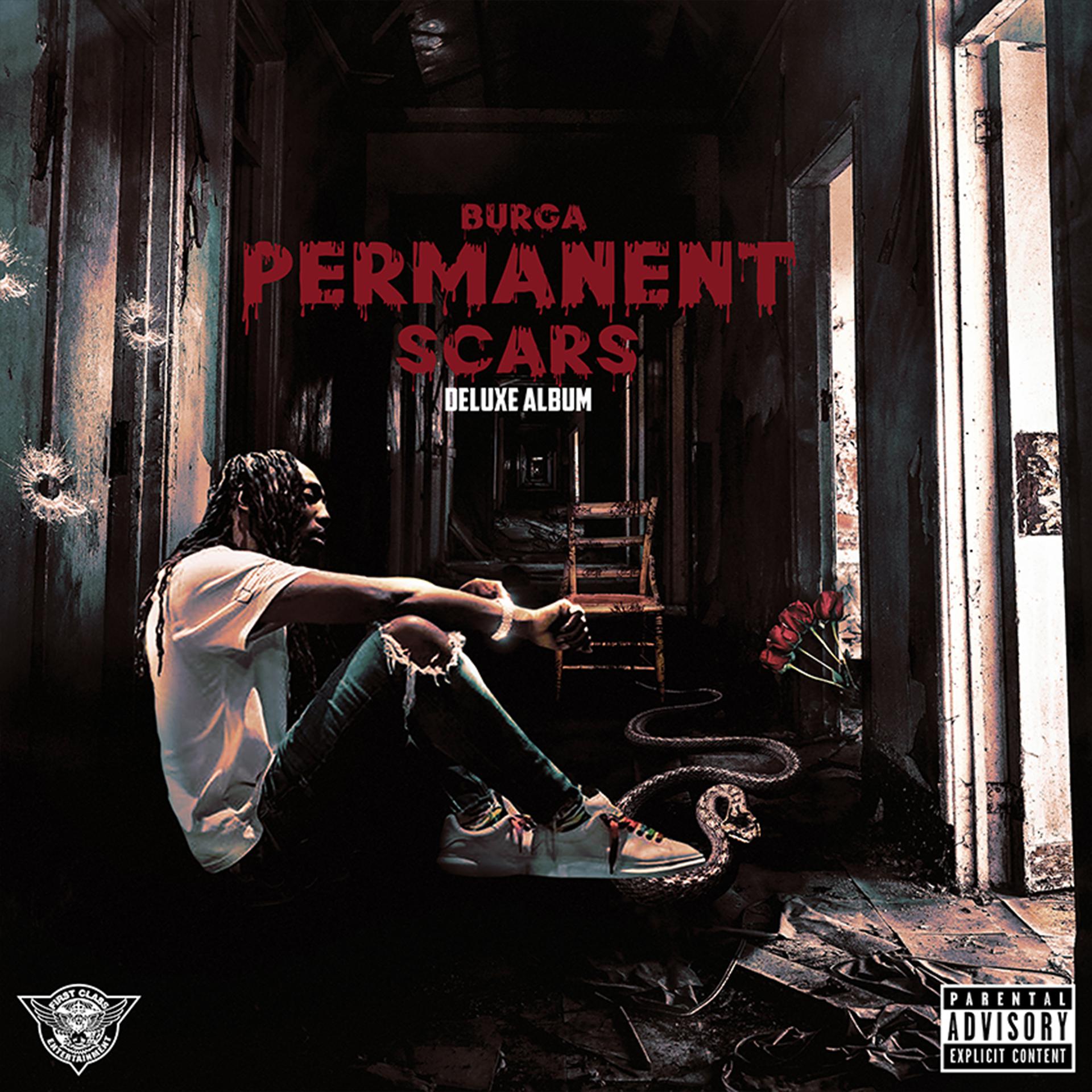 Постер альбома Permanent Scars