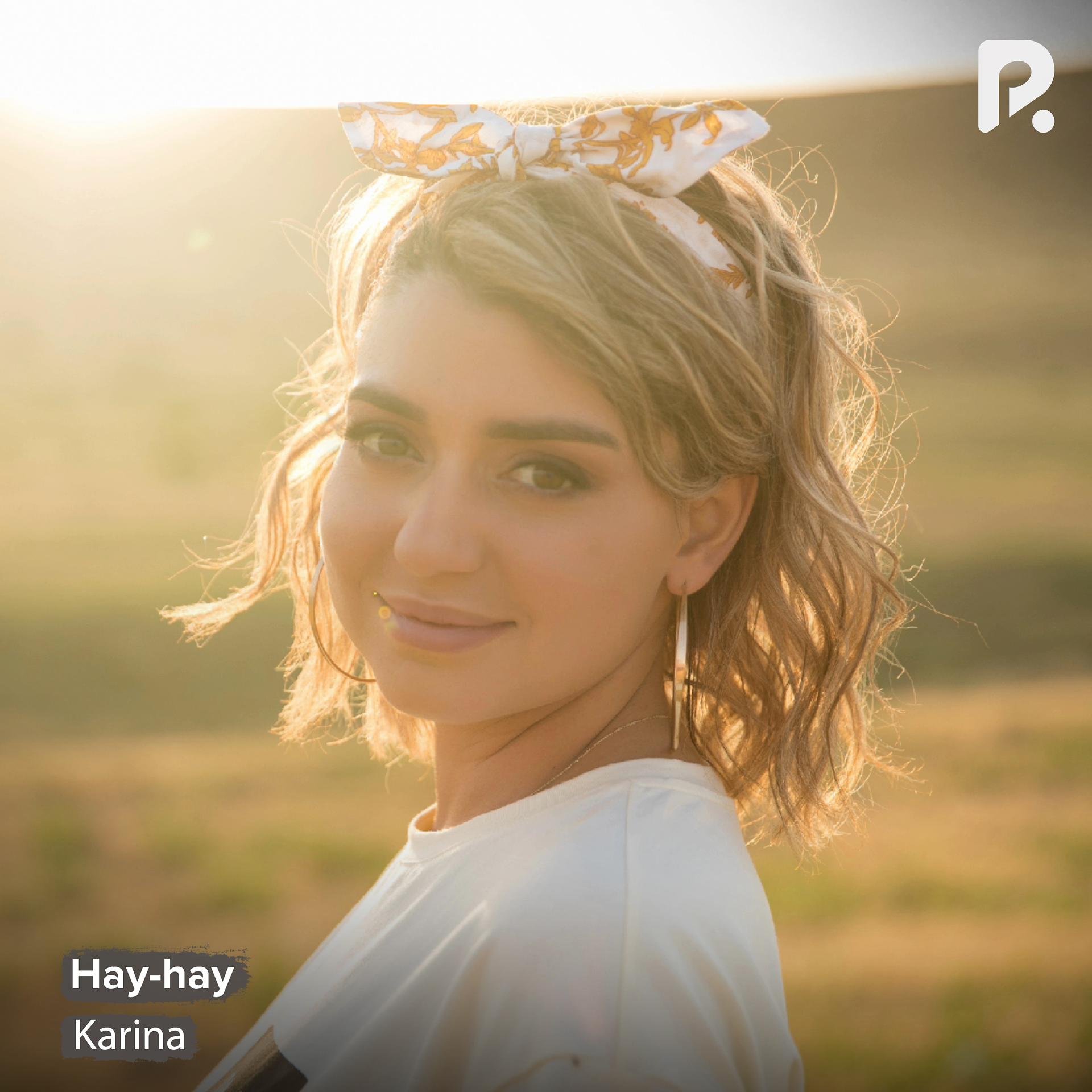 Постер альбома Hay-hay