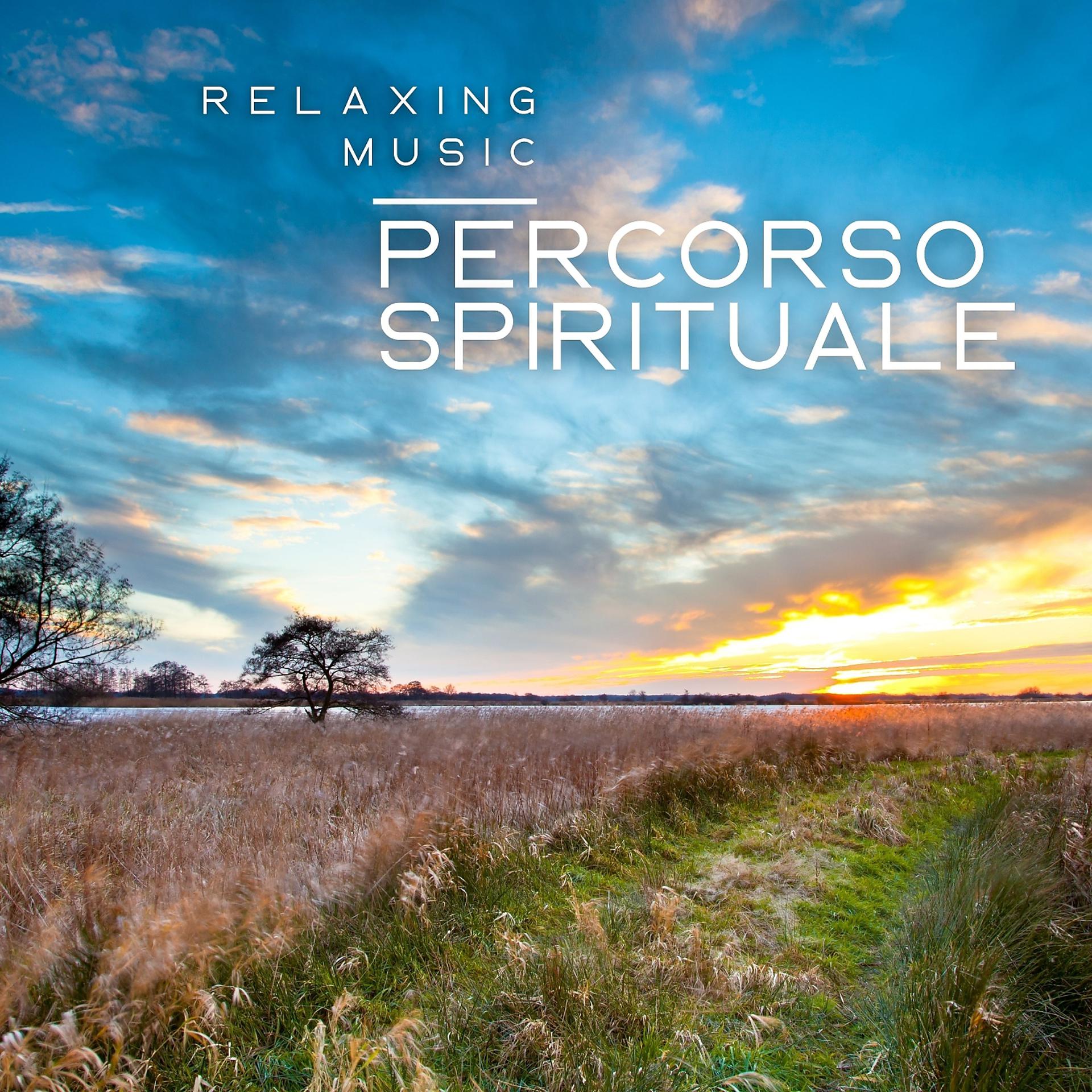 Постер альбома Percorso spirituale