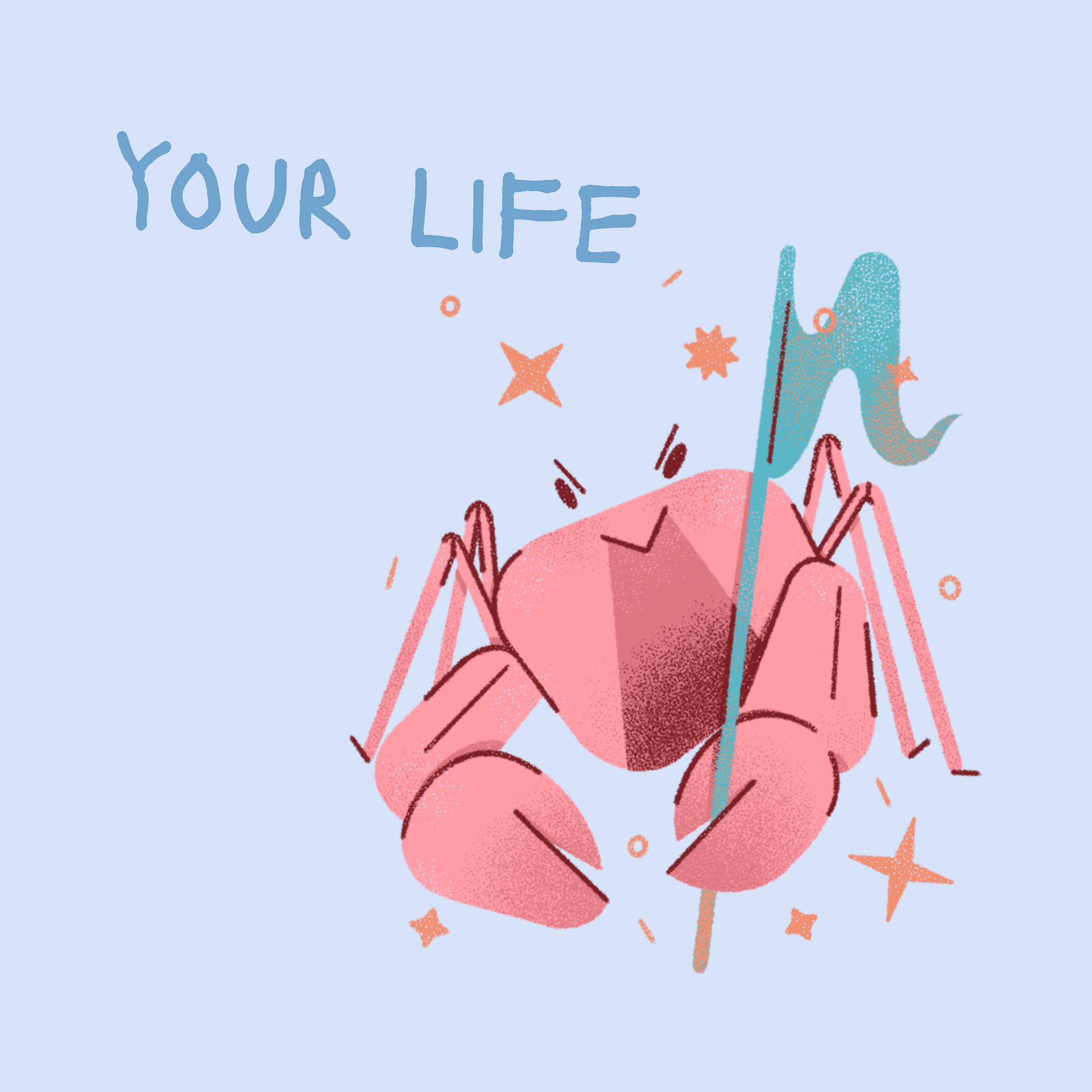 Постер альбома Your Life