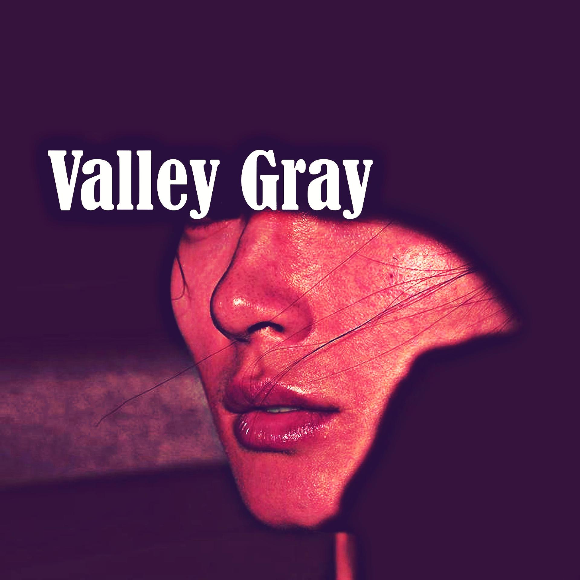 Постер альбома Valley Gray