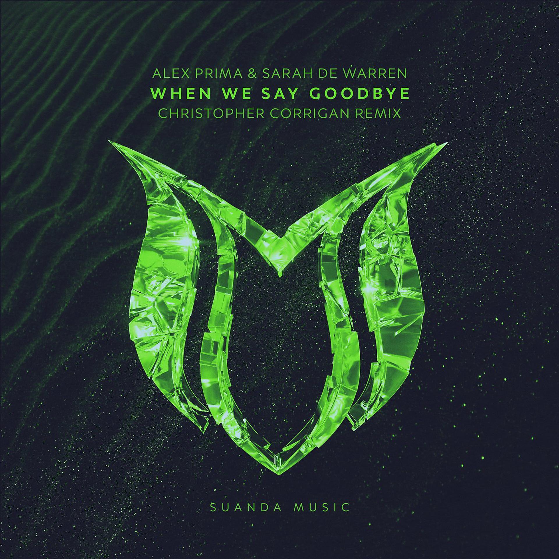 Постер альбома When We Say Goodbye (Christopher Corrigan Remix)