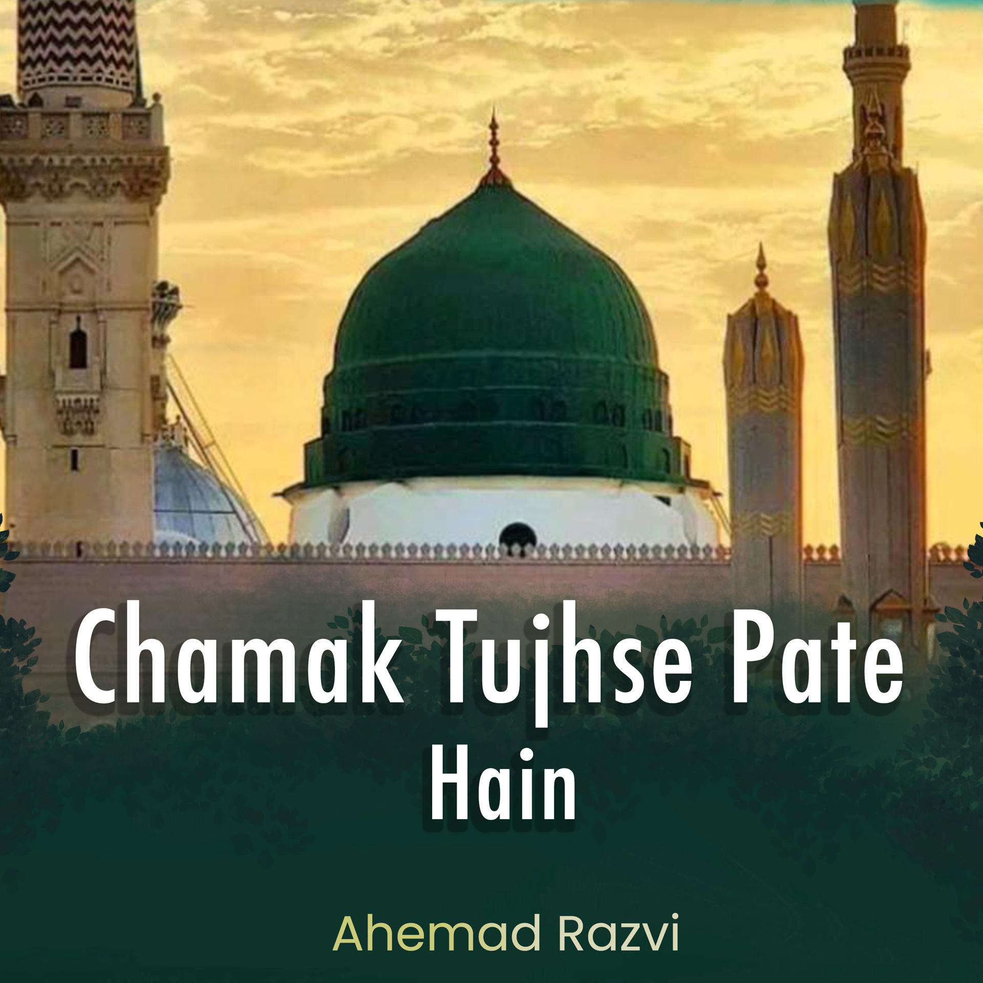 Постер альбома Chamak Tujhse Pate Hain