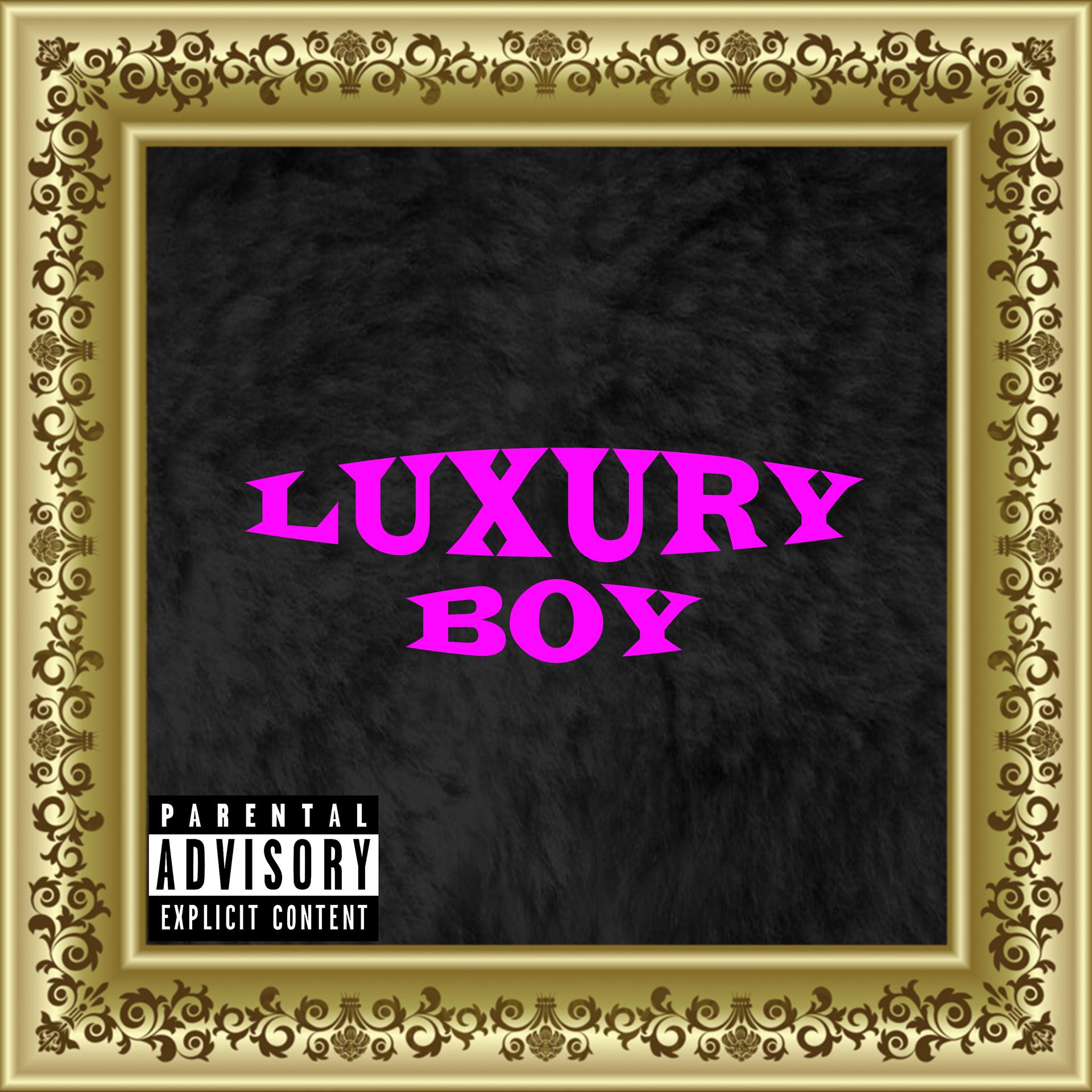 Постер альбома Luxury Boy