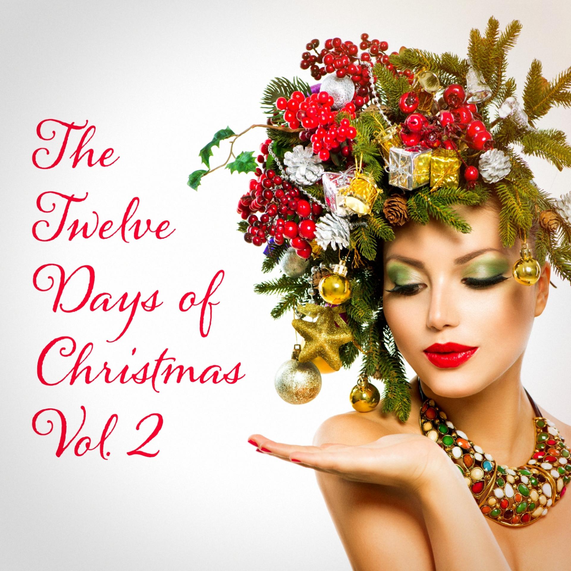 Постер альбома The Twelve Days of Christmas, Vol. 2