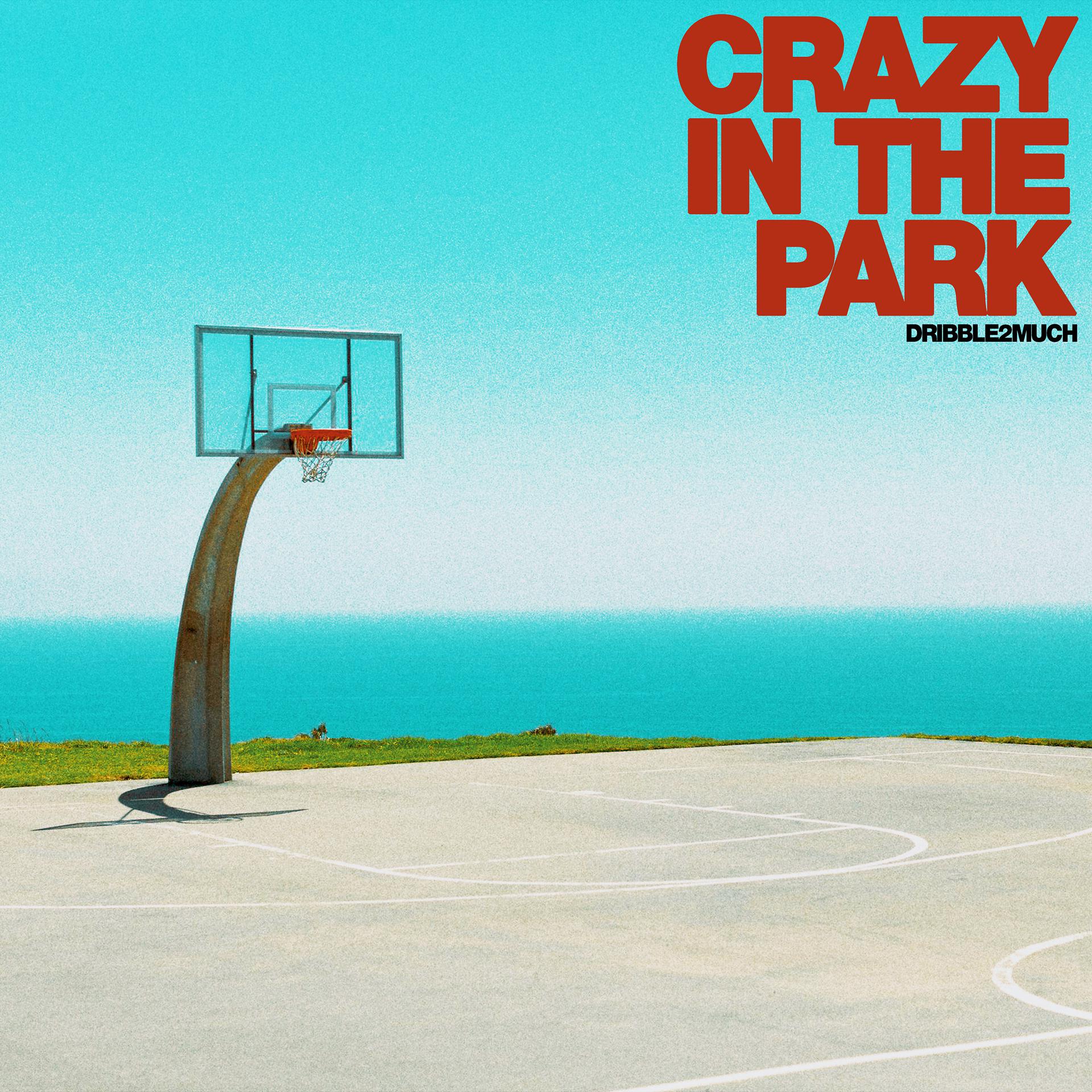 Постер альбома Crazy In The Park