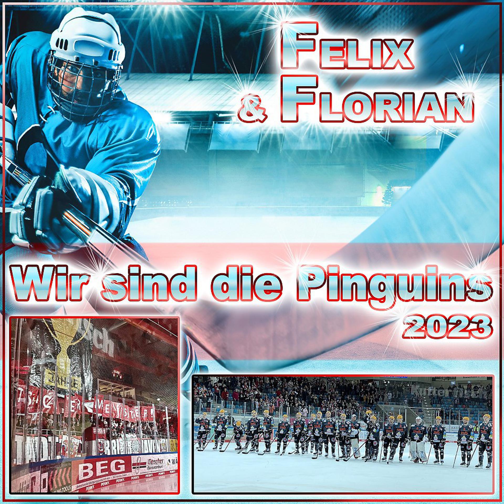 Постер альбома Wir sind die Pinguins 2023