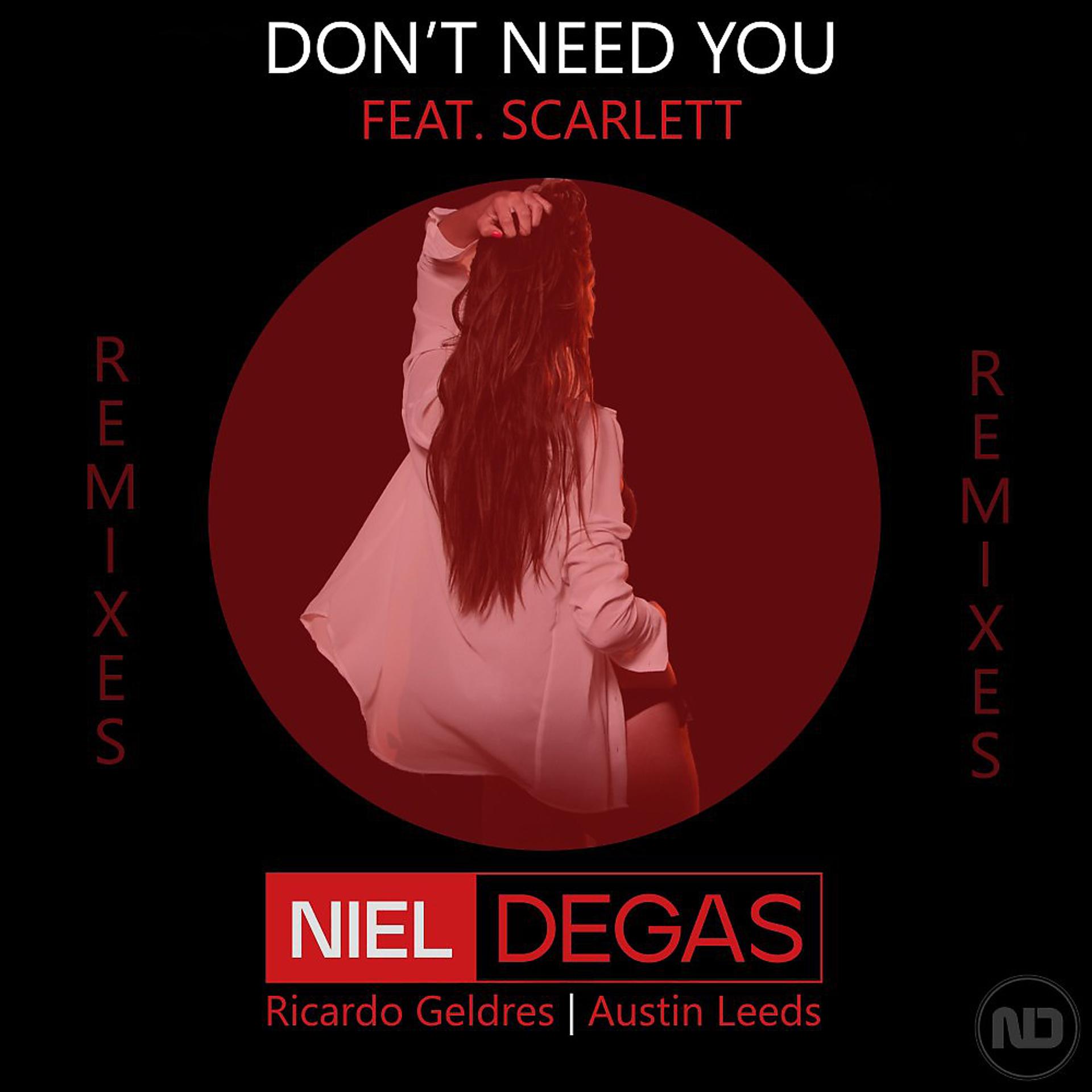Постер альбома Don't Need You (Remixes)