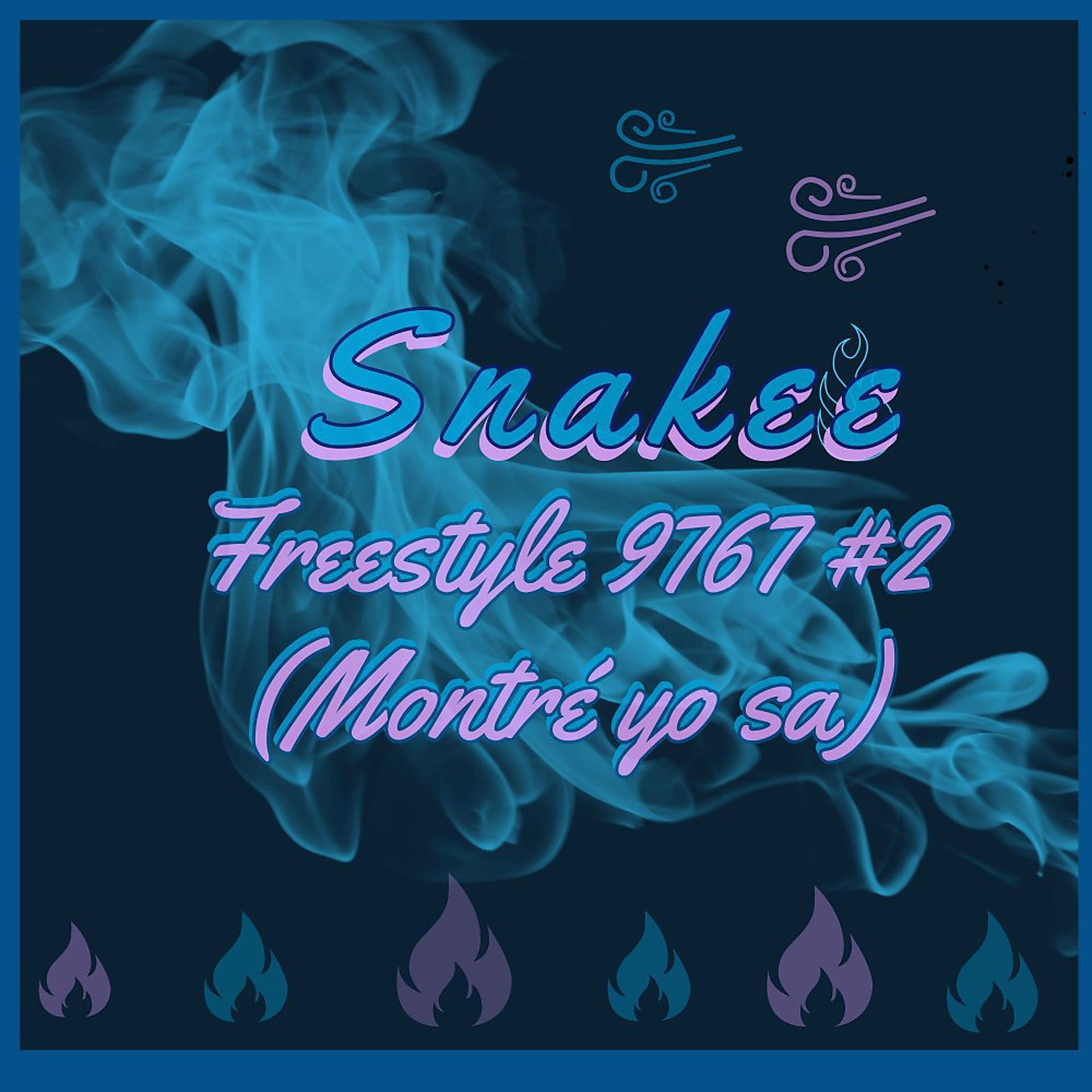 Постер альбома Freestyle 9767, Pt. 2 (Montré yo sa)