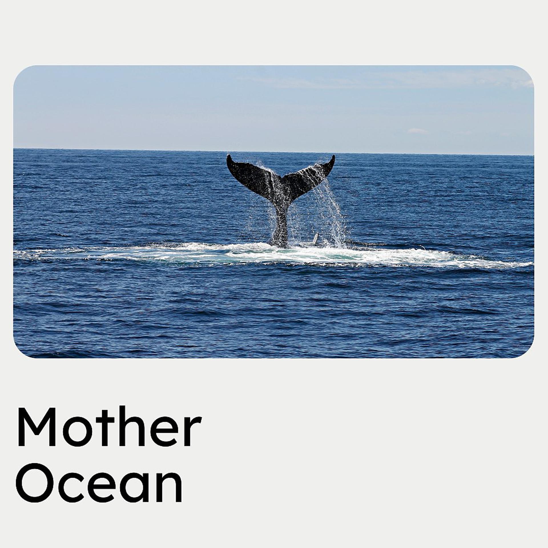 Постер альбома Mother Ocean