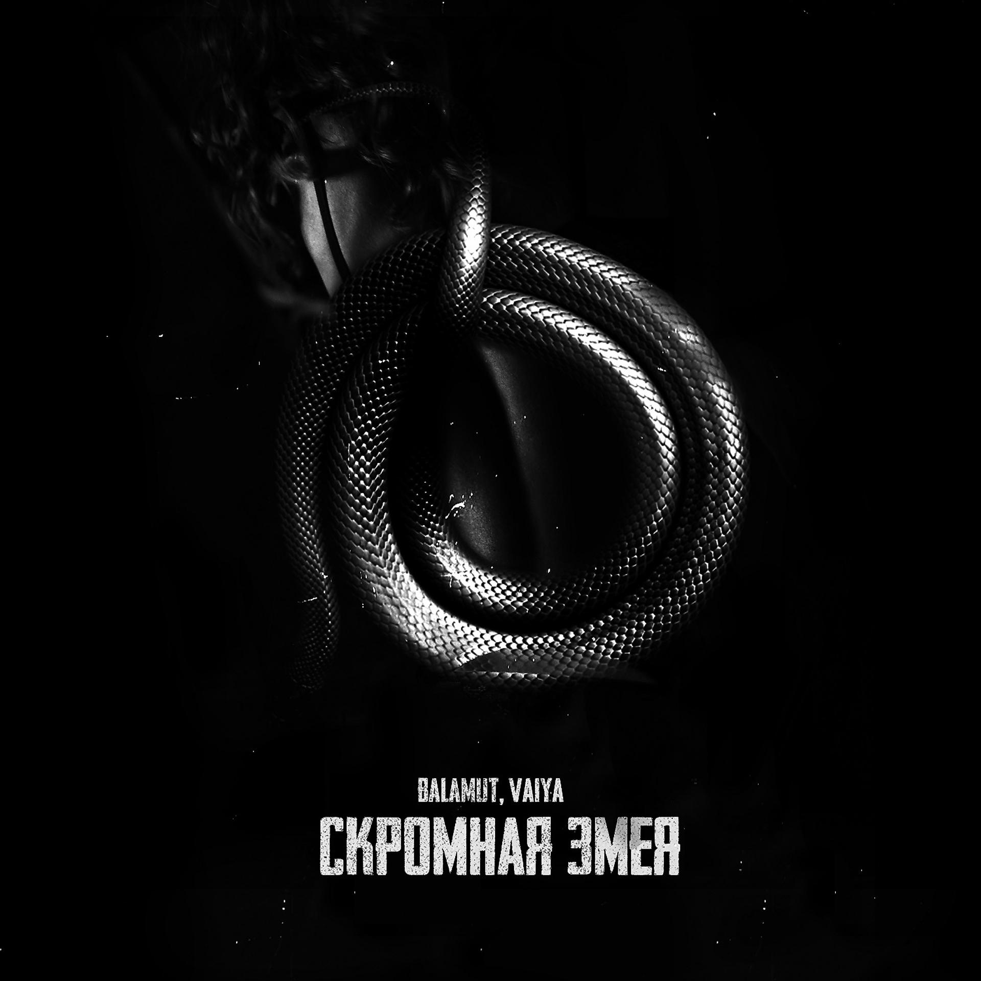 Постер альбома Скромная змея