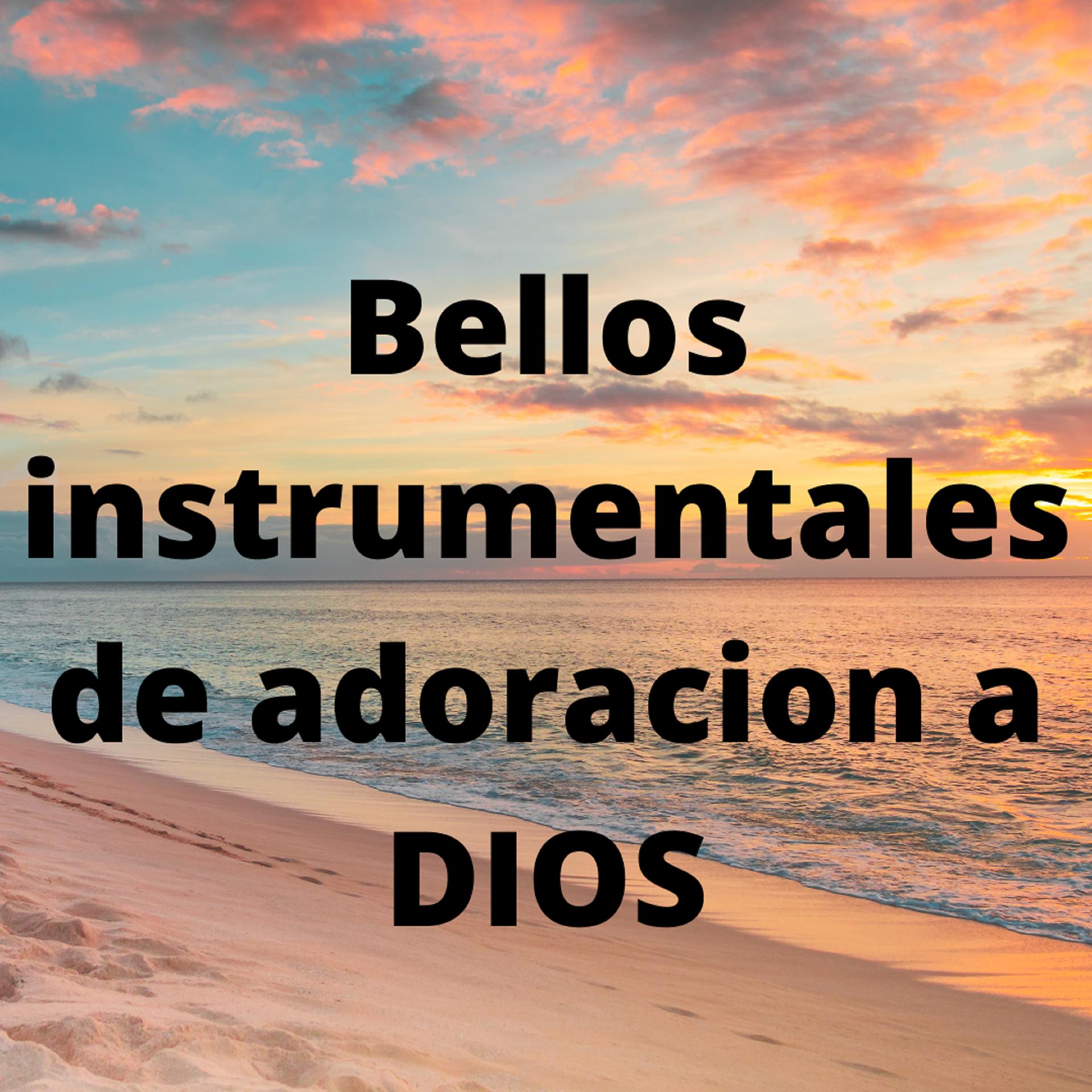 Постер альбома Bellos Instrumentales de Adoracion a Dios