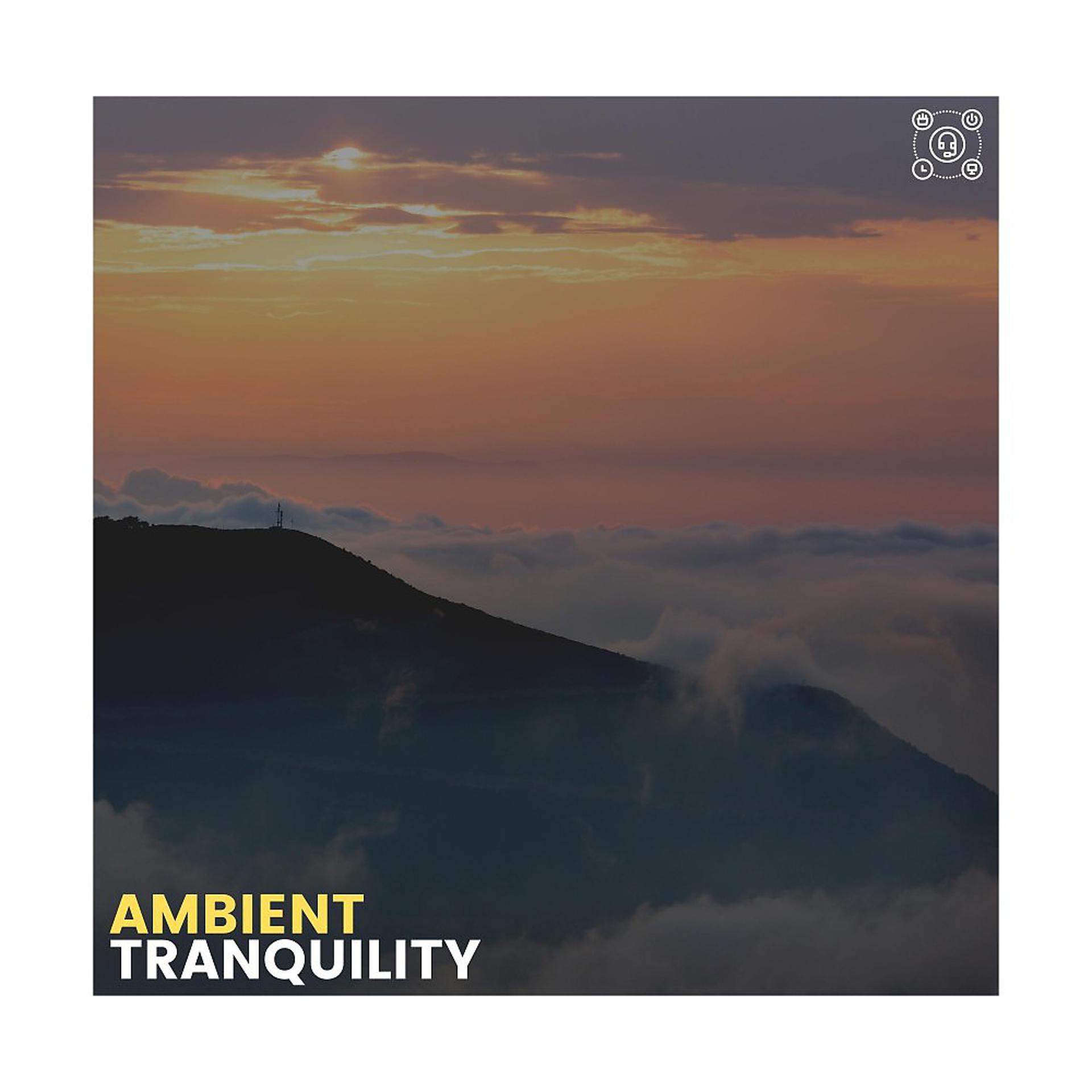 Постер альбома Ambient Tranquility