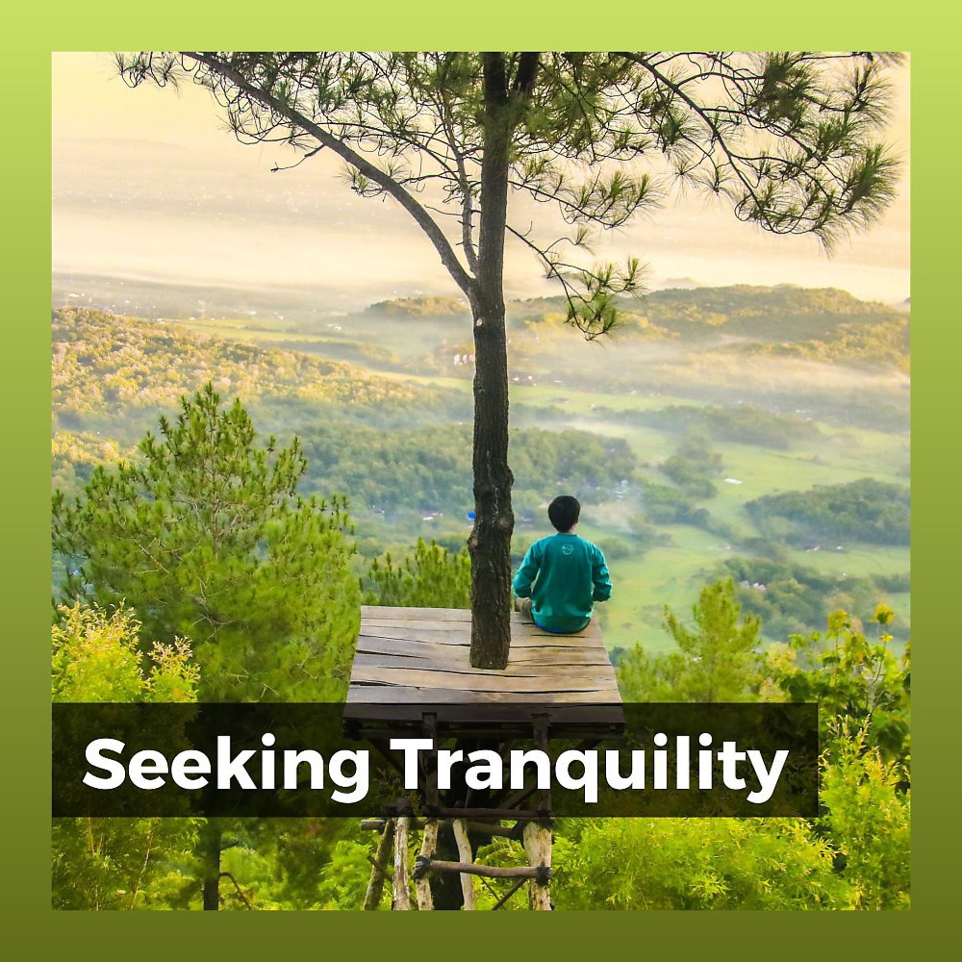 Постер альбома Seeking Tranquility