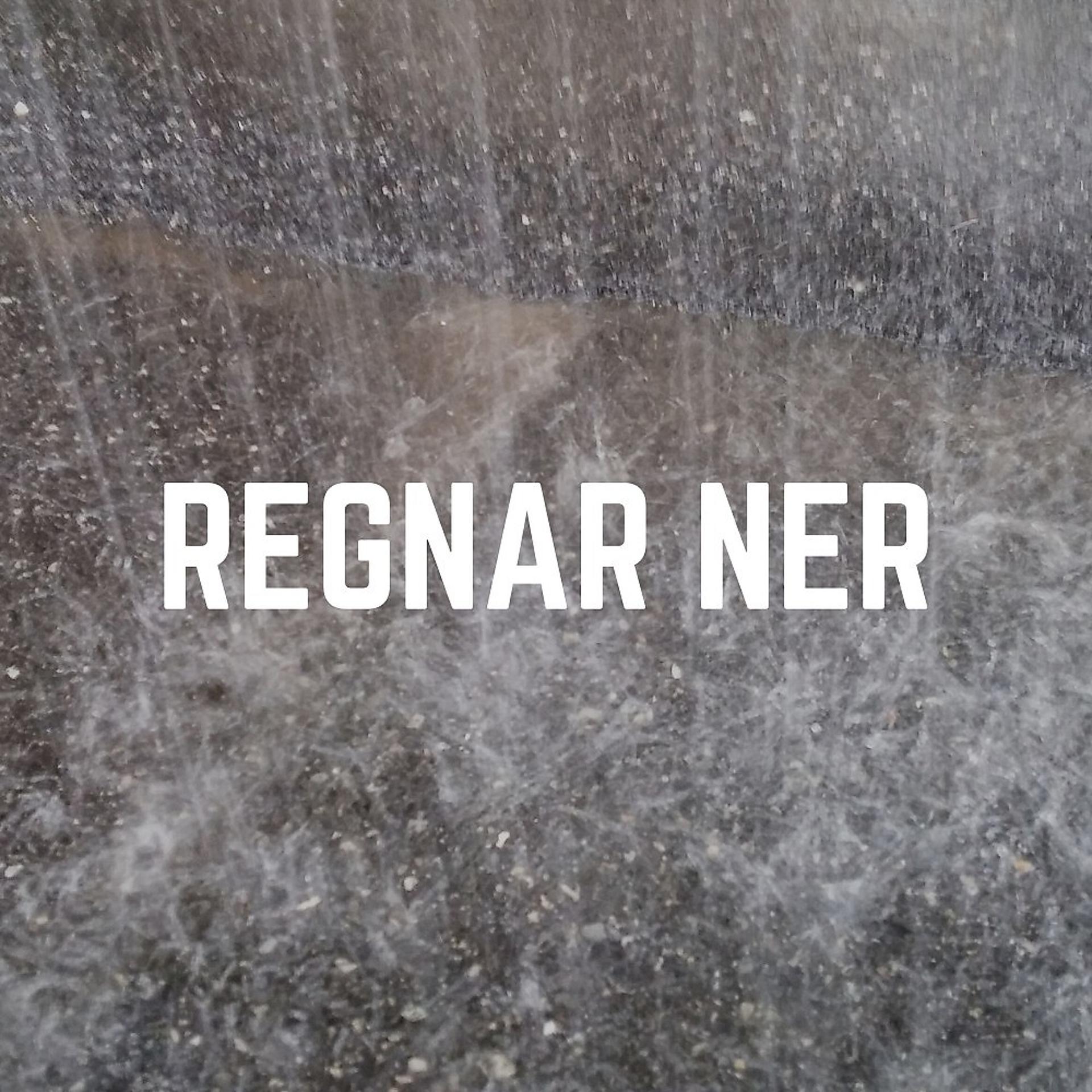 Постер альбома Regnar Ner
