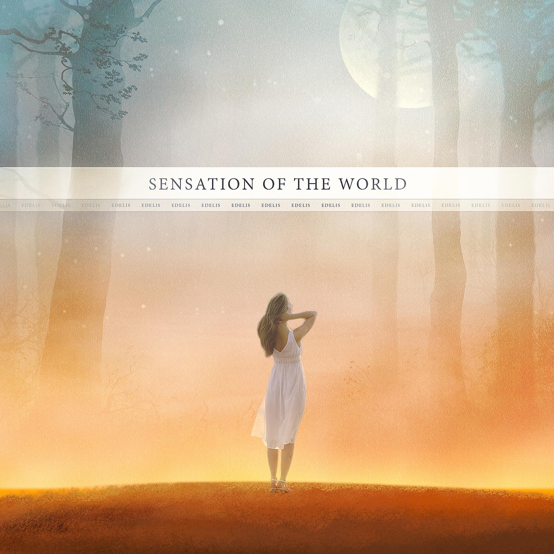 Постер альбома Sensation of the World (Remastered 2021)