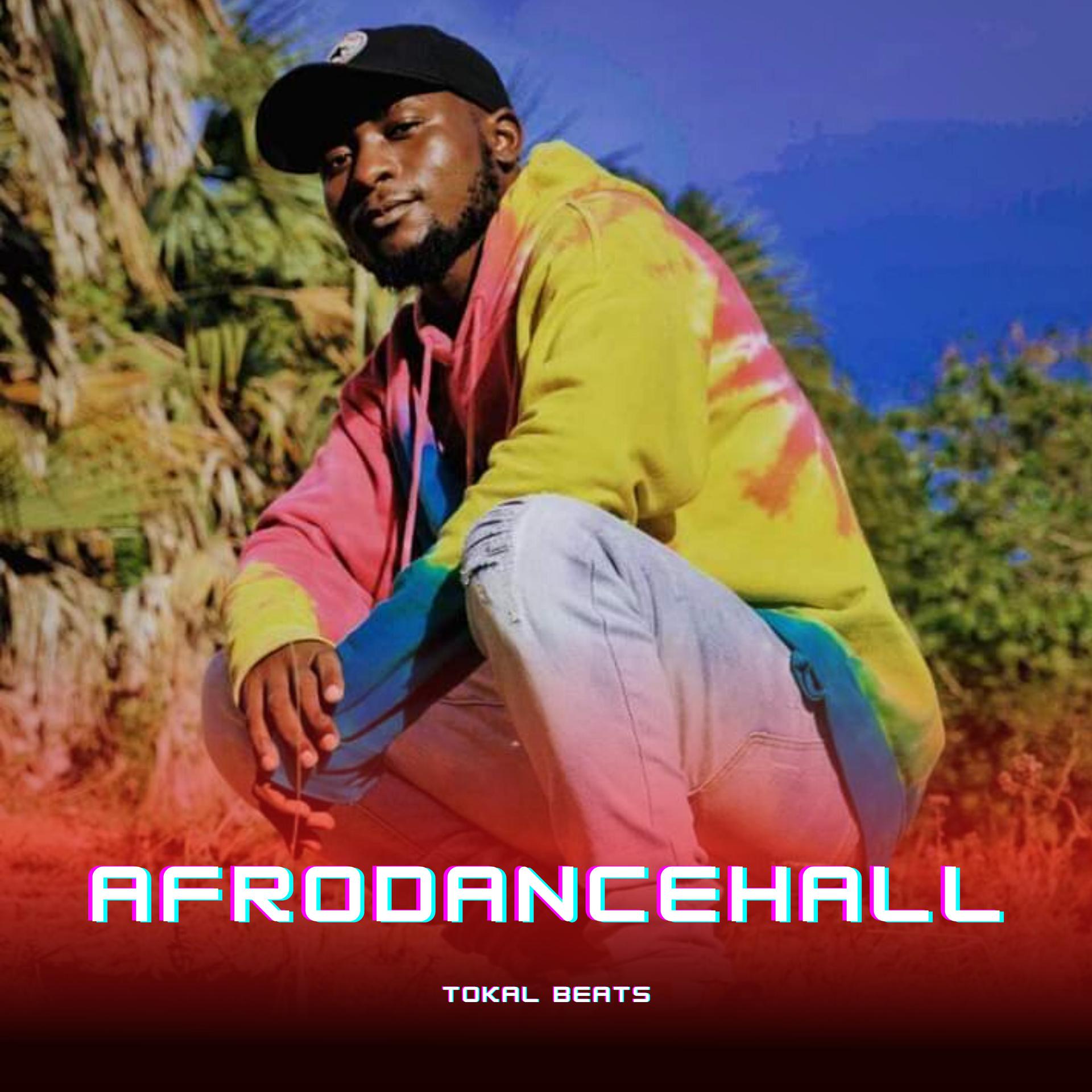 Постер альбома Afrodancehall