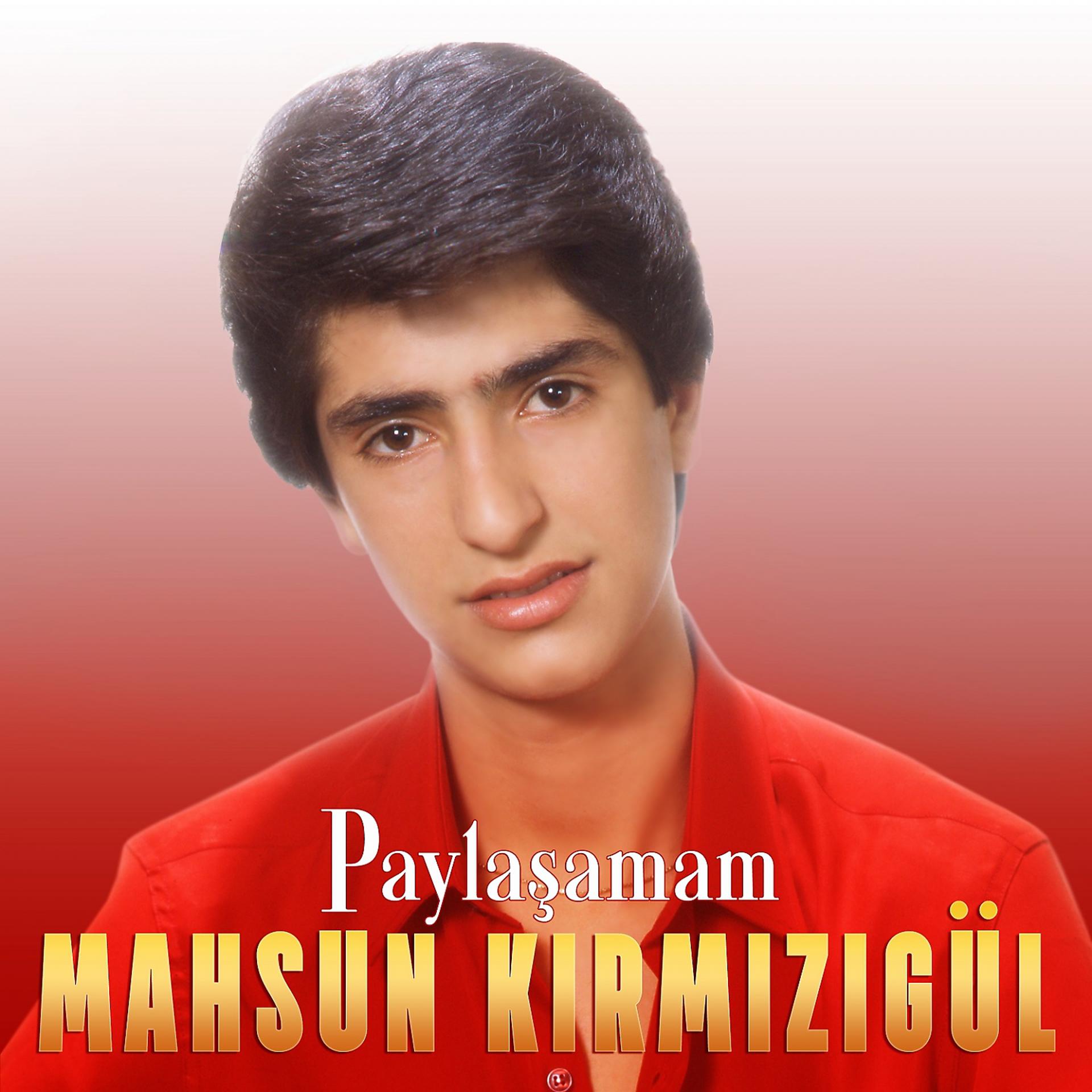 Постер альбома Paylaşamam