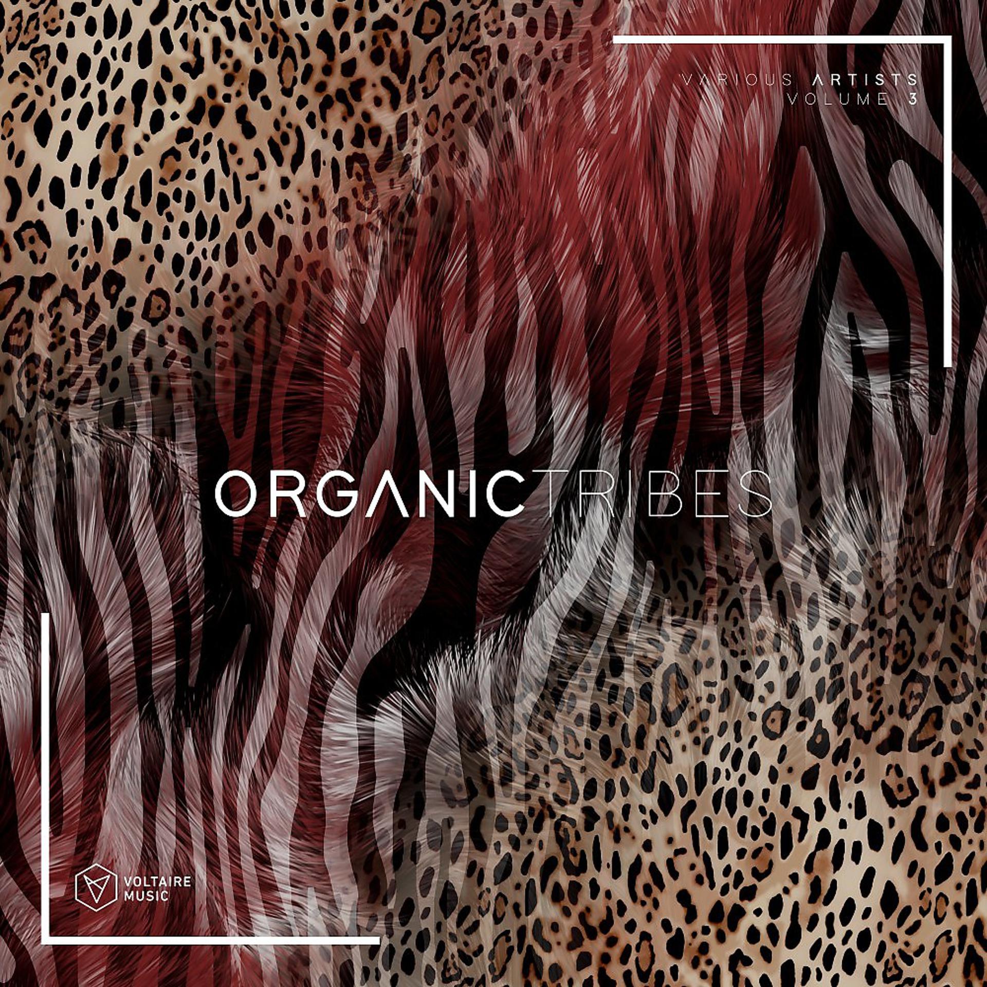 Постер альбома Organic Tribes, Vol. 3