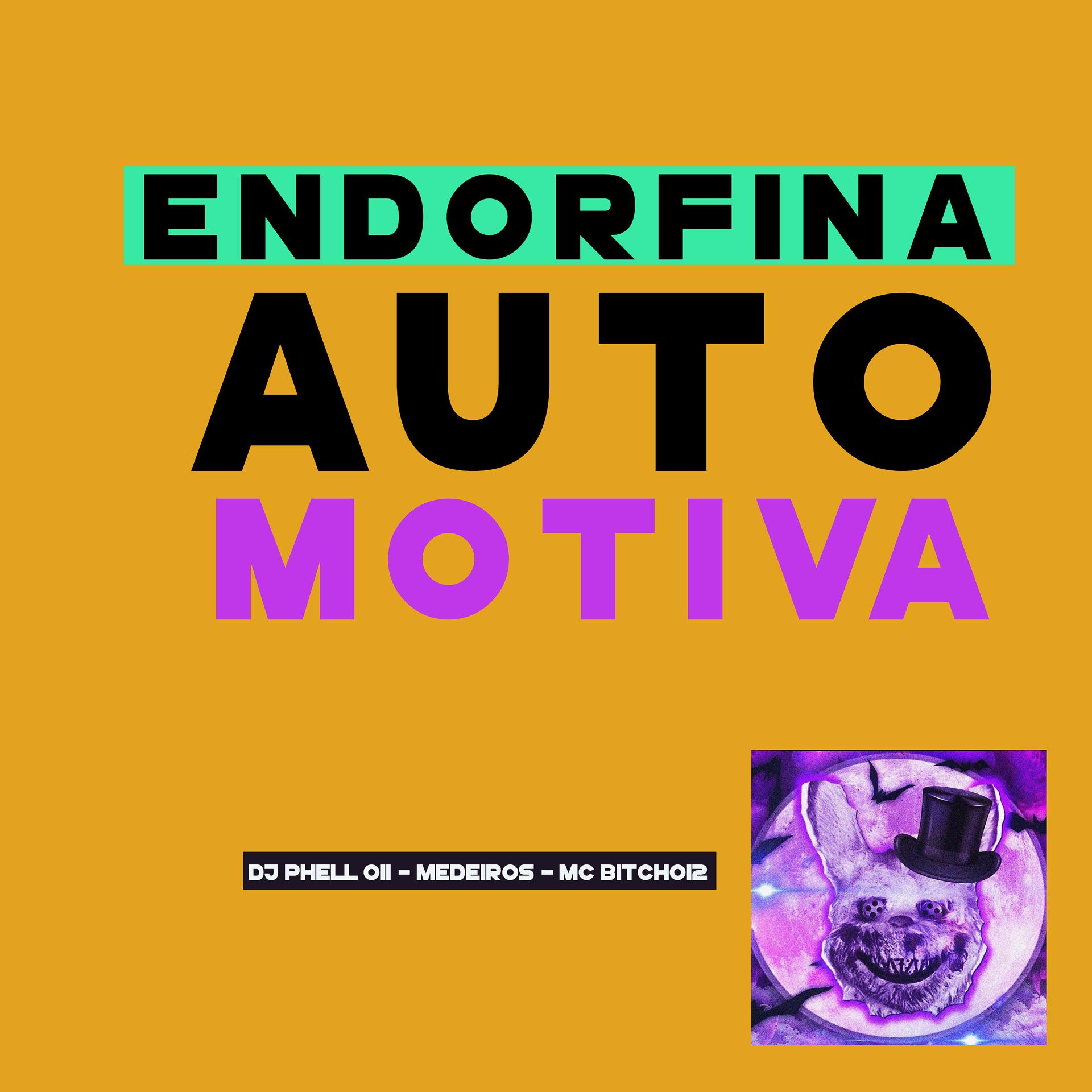 Постер альбома Endorfina Automotiva